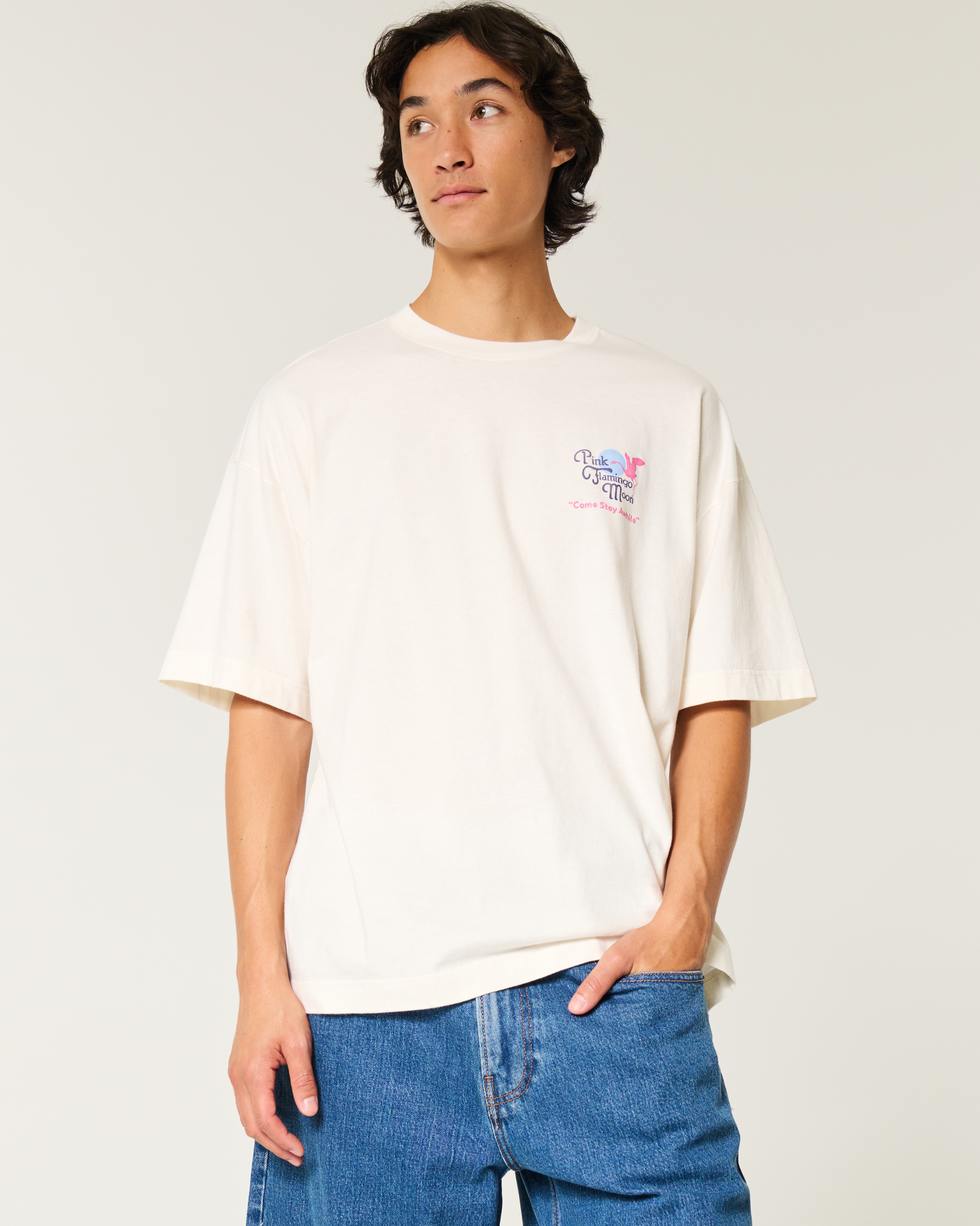 Baggy Pink Flamingo Moon Hotel Graphic Tee