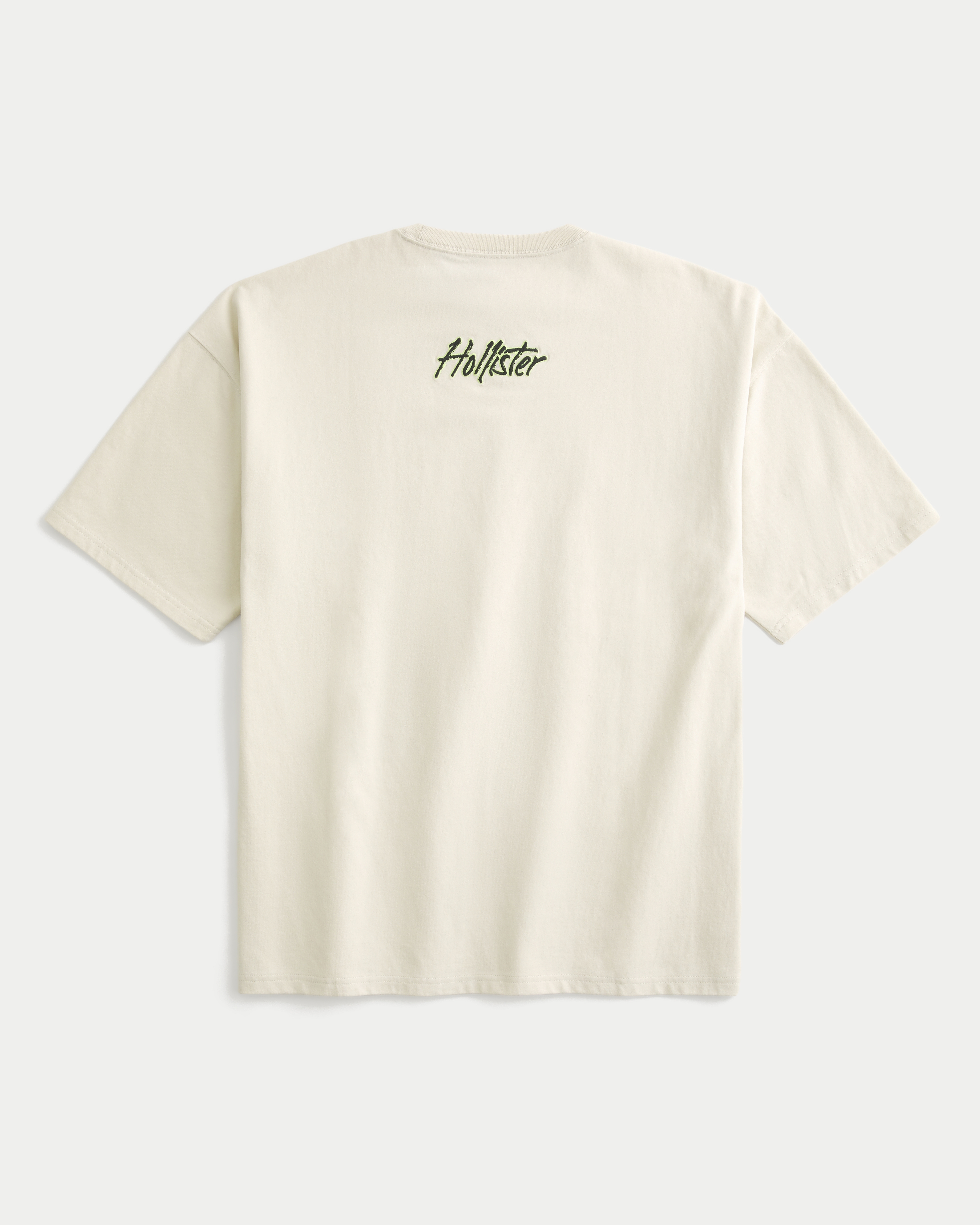 Men's Baggy Logo Graphic Tee | Men's Tops | HollisterCo.com