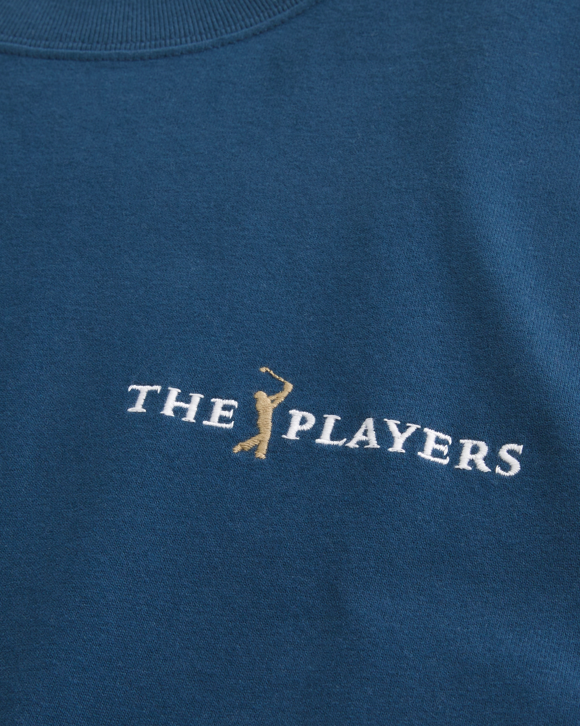 Men's Boxy Heavyweight Tweety Golf Graphic Tee | Men's