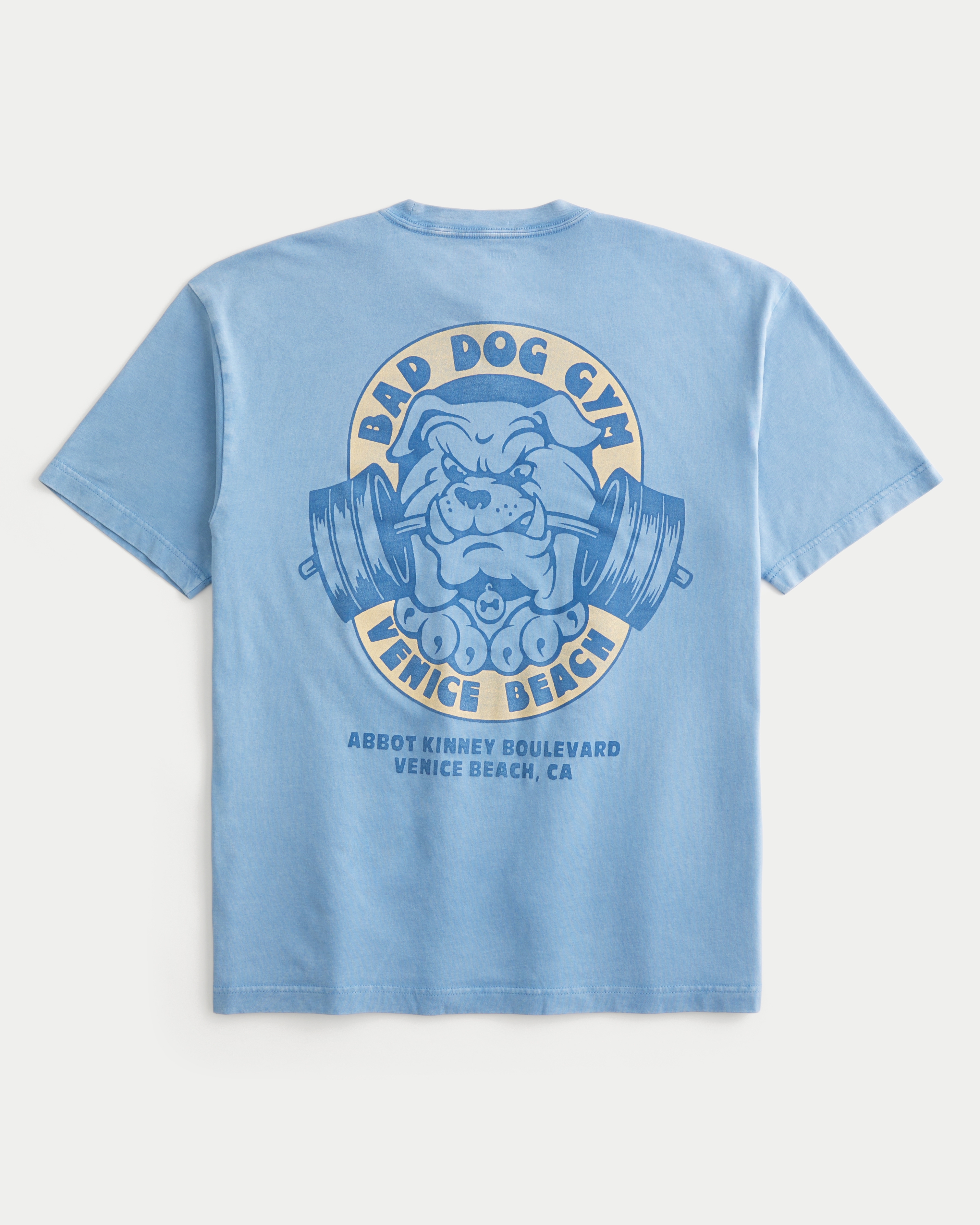 Boxy Bad Dog Gym Graphic Tee