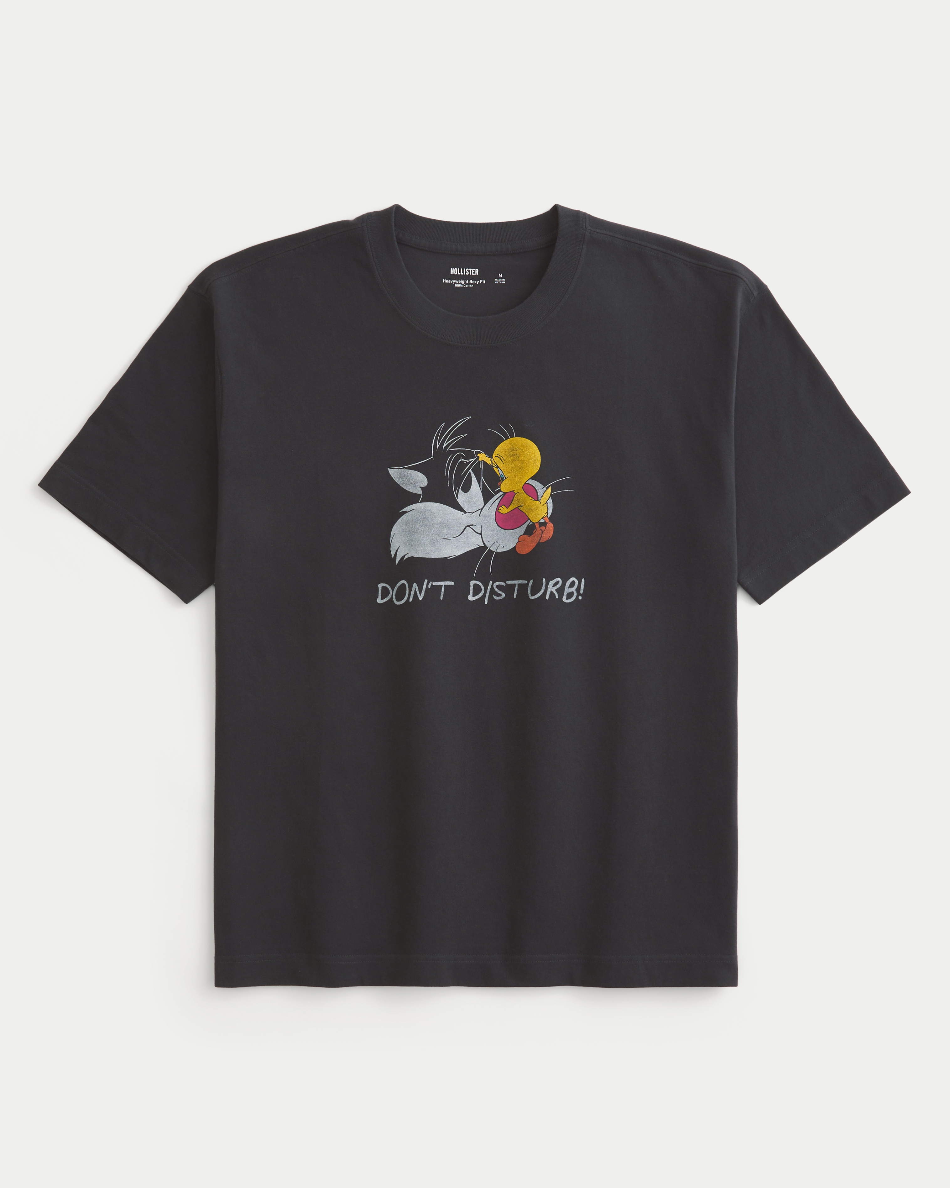 Boxy Heavyweight Looney Tunes Graphic Tee
