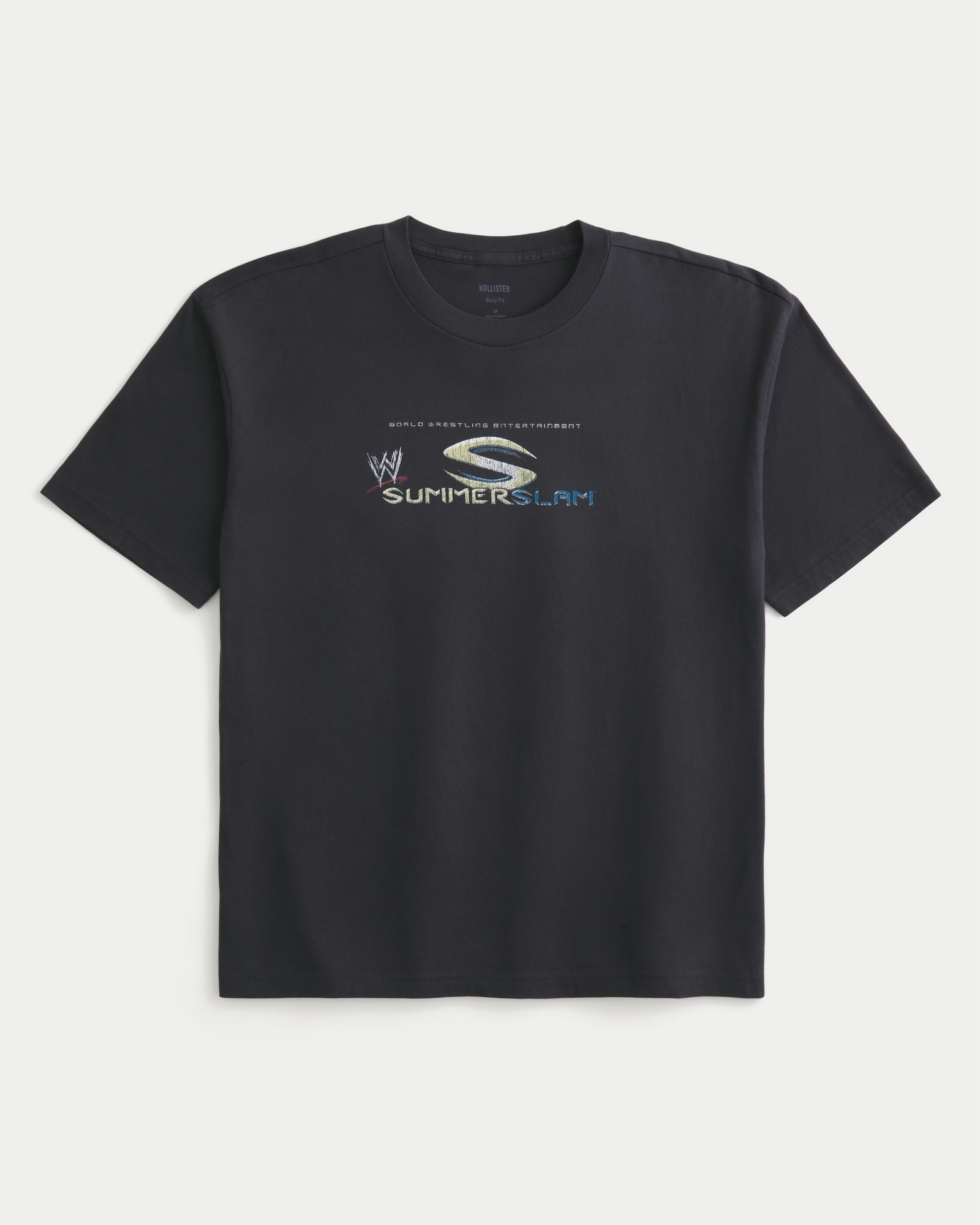 Men's Boxy WWE SummerSlam Graphic Tee | Men's Clearance