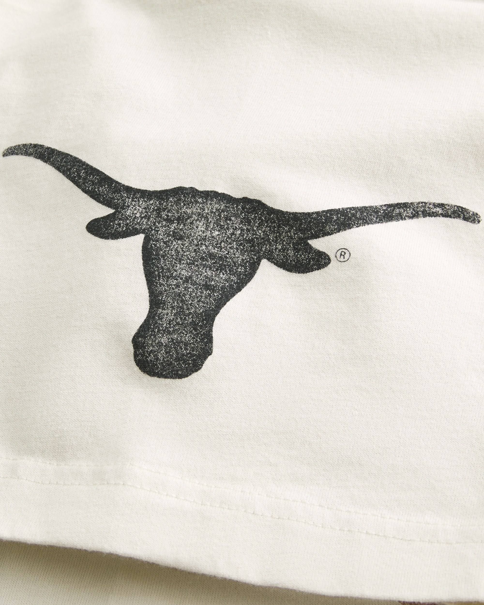 ★Hollister Co.★ボクシーテキサス大学グラフィックTシャツ Men's Boxy University of Texas at Austin Graphic Tee | Men's