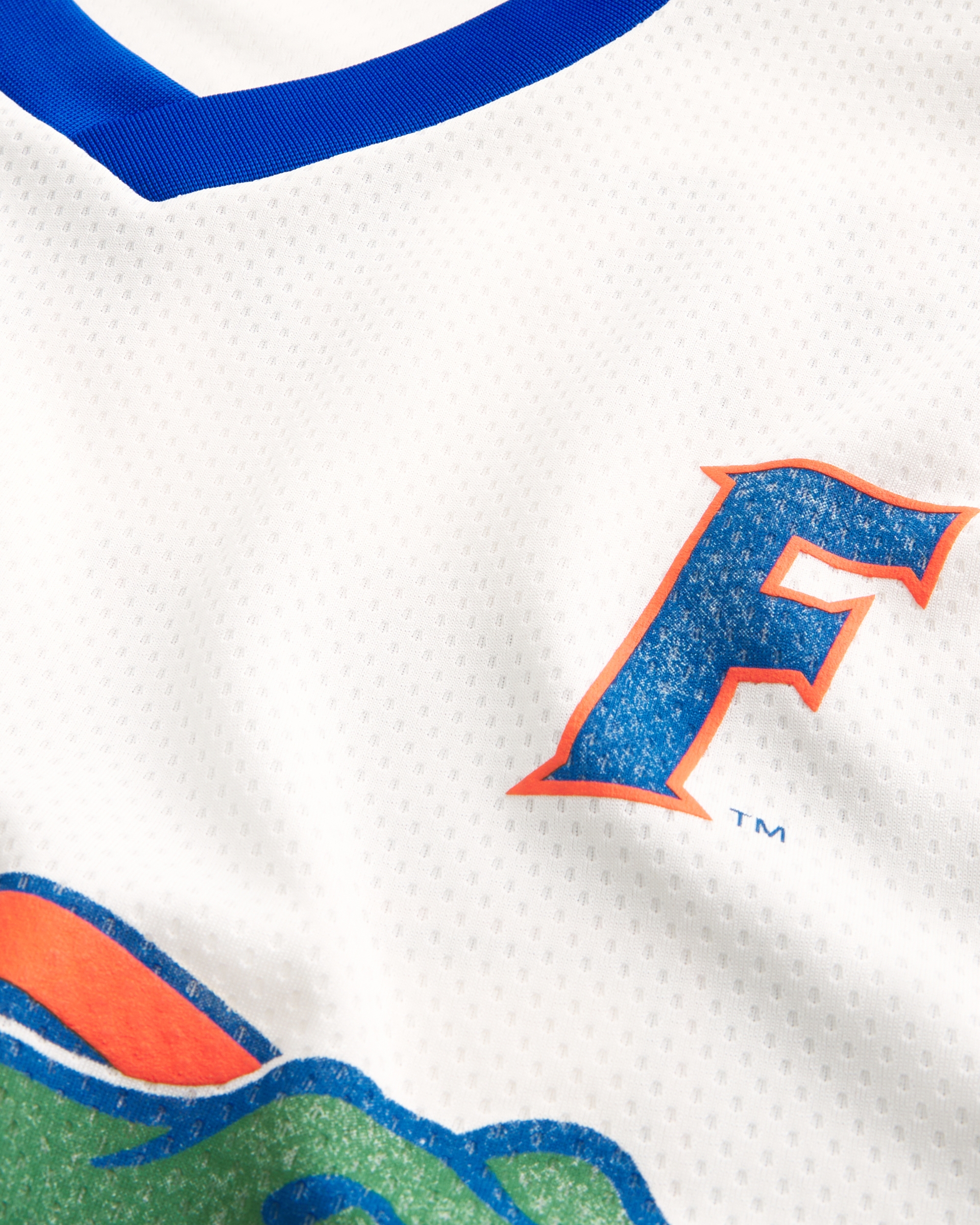 University of Florida Gators Graphic Hockey Jersey