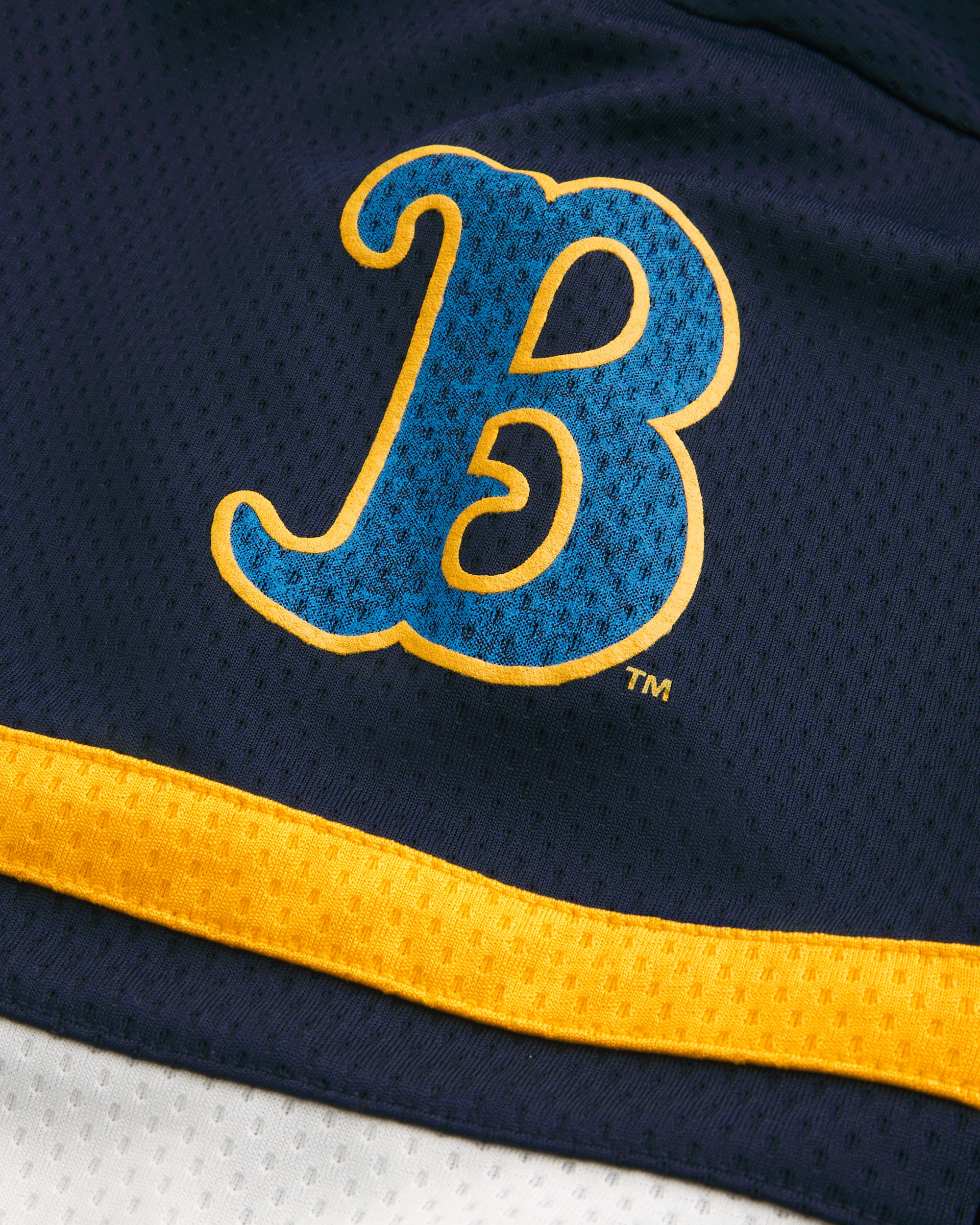 UCLA Bruins Graphic Hockey Jersey