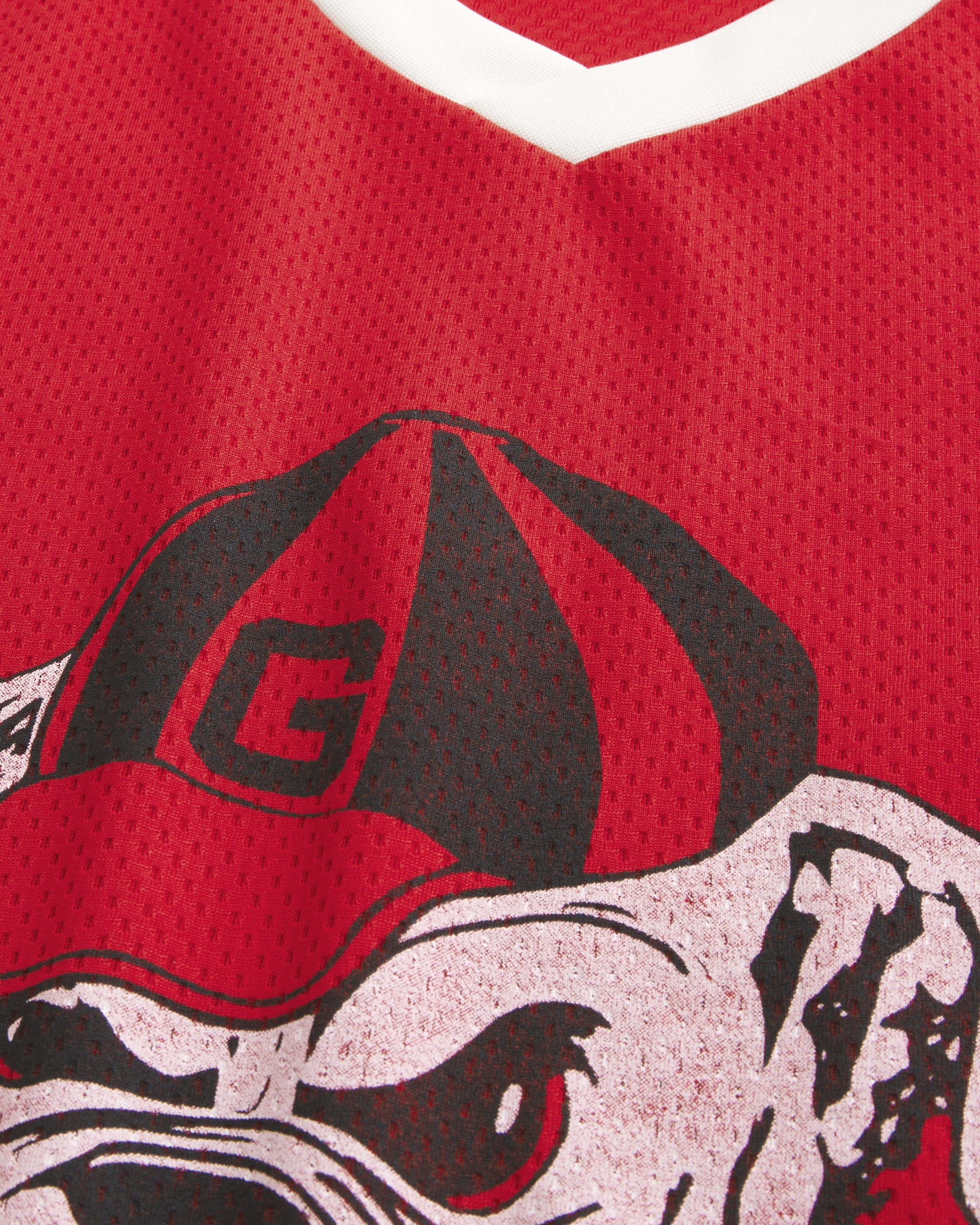 University of Georgia Bulldogs Graphic Hockey Jersey