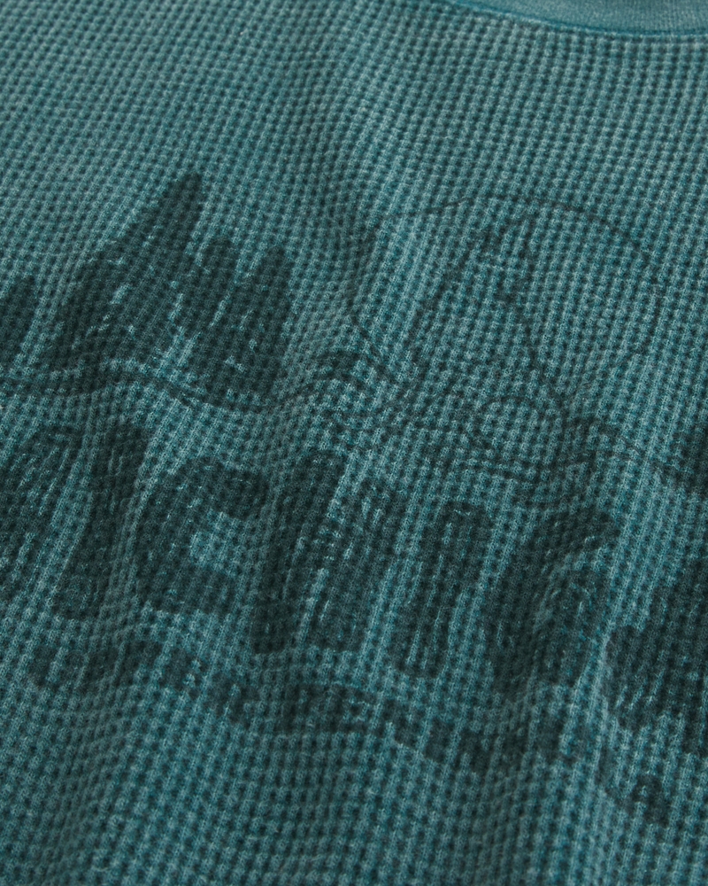 Long-Sleeve Waffle Aspen Graphic Tee