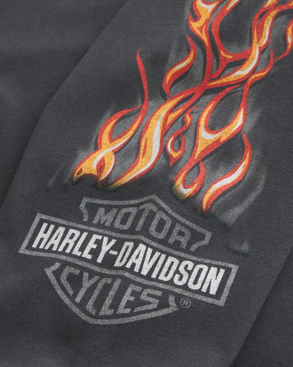 Men's Relaxed Long-Sleeve Harley-Davidson Graphic Tee | Men's Tops