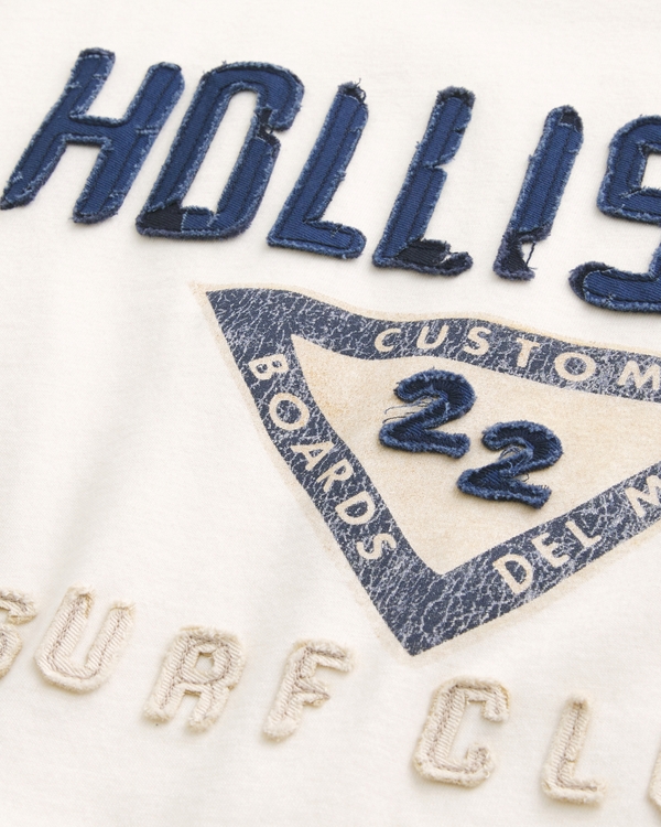 ホリスターソーカルスポーツ50ミリ メンズ サーフ ロゴ グラフィックTシャツ | メンズ トップス