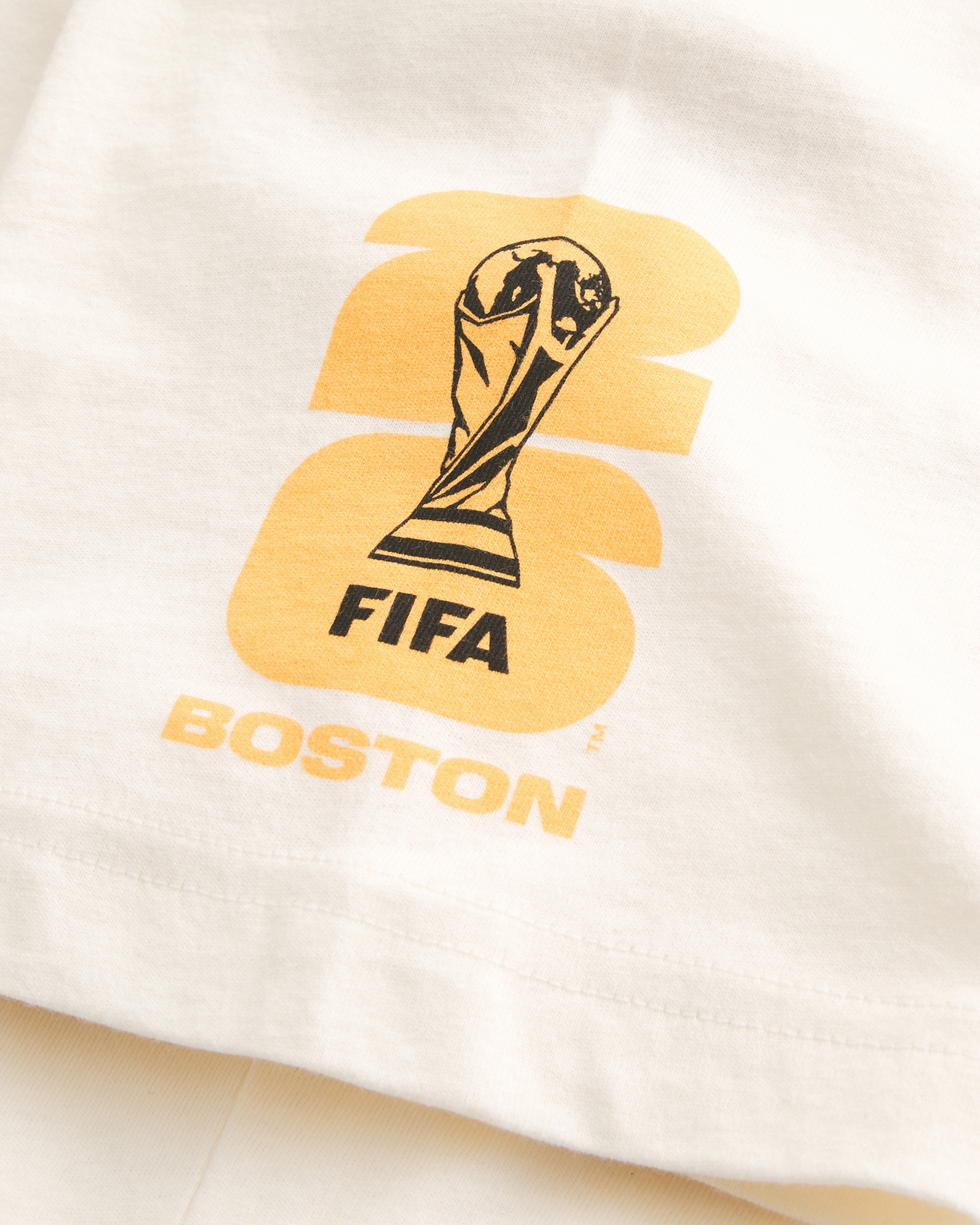 Hollister FIFA World Cup™ 2026 Boston Graphic Tee at Hamilton