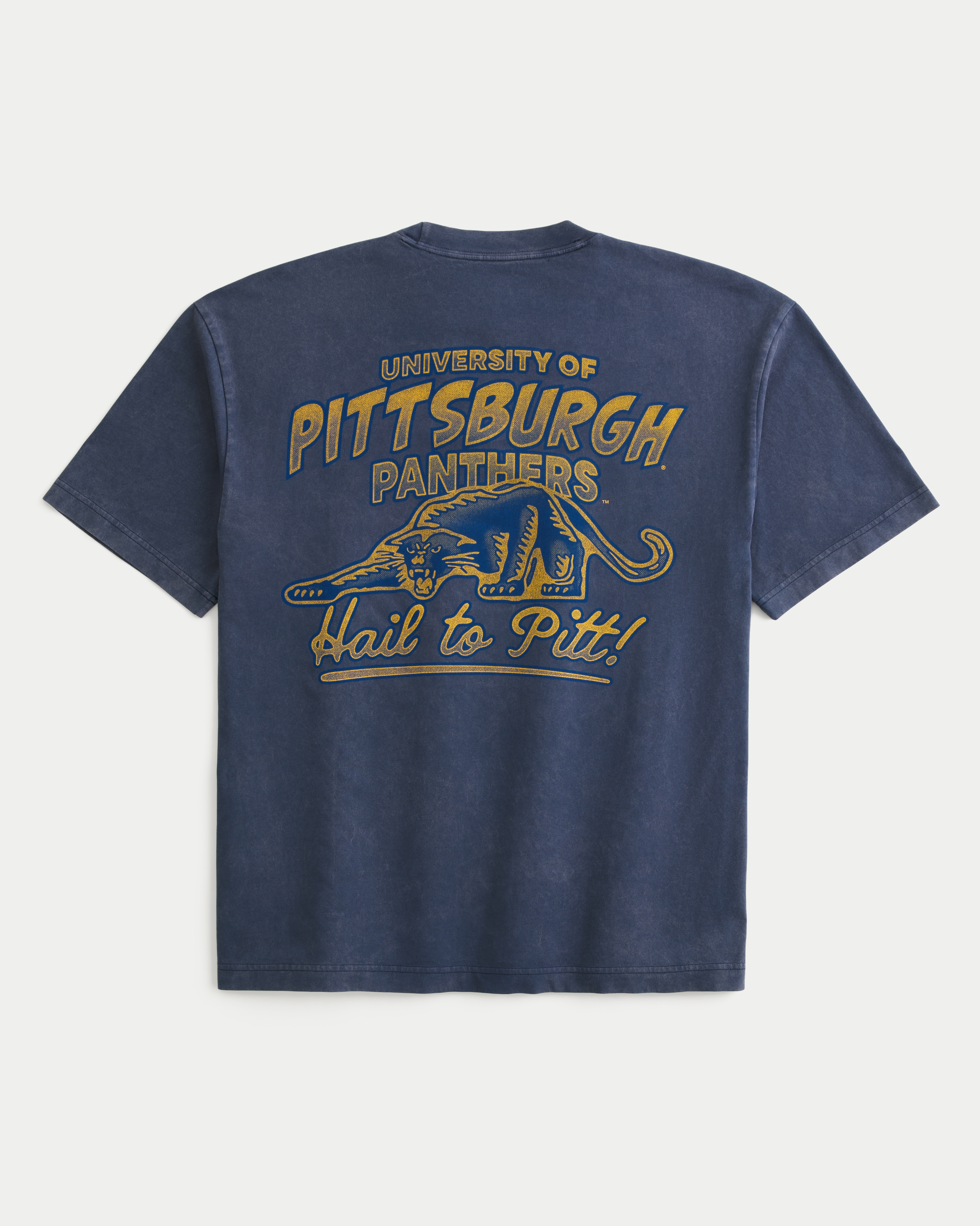 Boxy University of Pittsburgh Panthers Graphic Tee