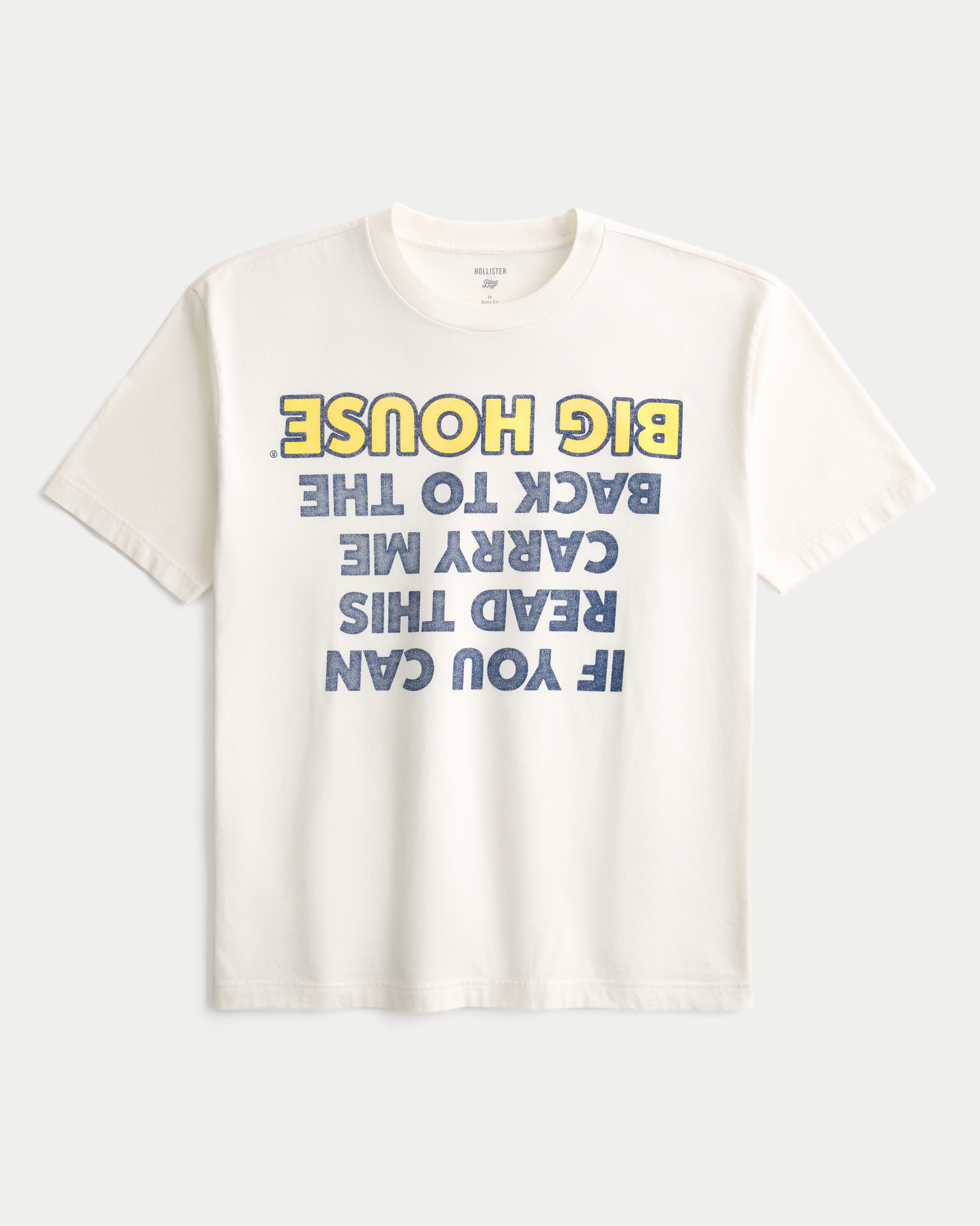 Boxy University of Michigan Wolverines Humor Graphic Tee