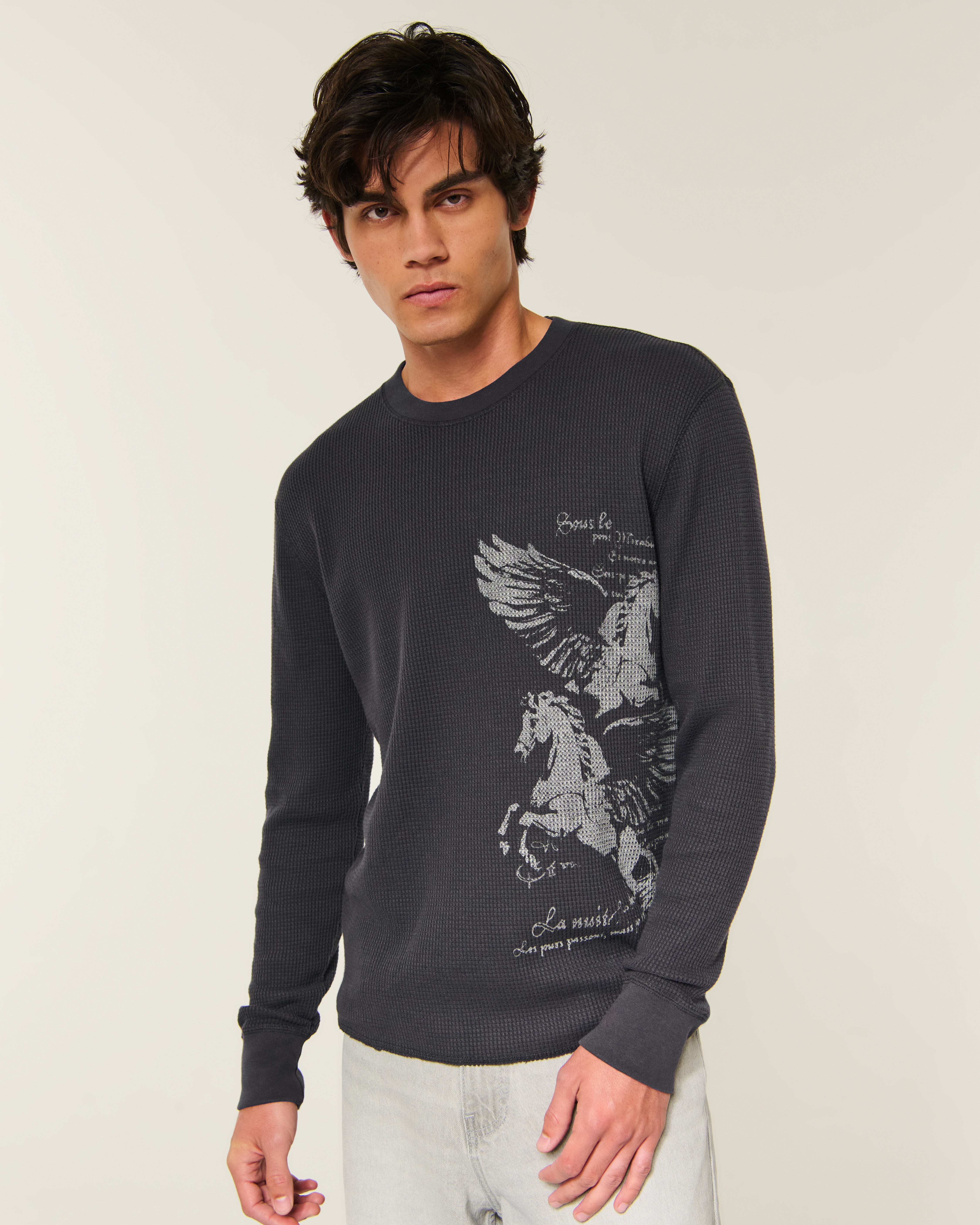 Long-Sleeve Thermal Pegasus Graphic Tee