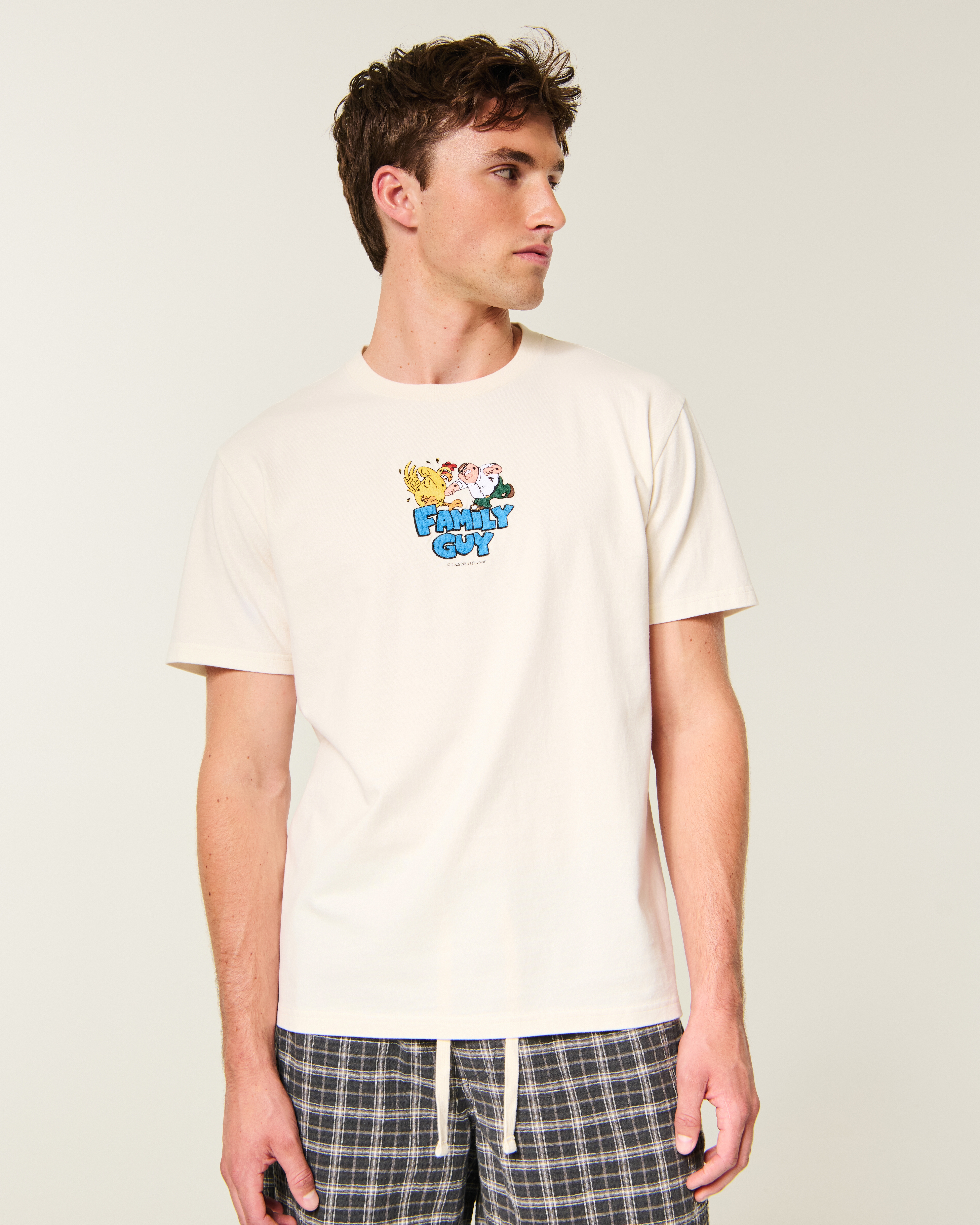 Relaxed Heavyweight Family Guy Graphic Tee