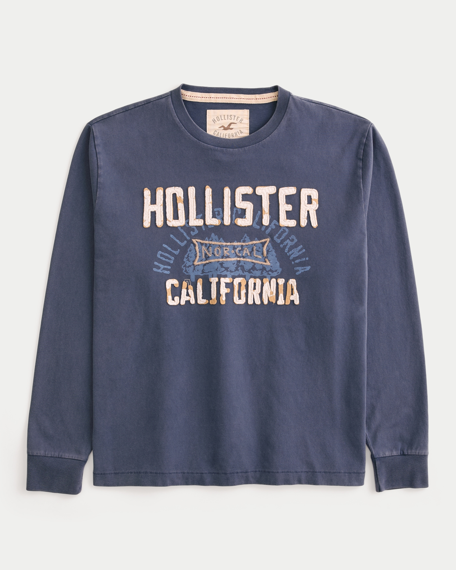 メンズ 長袖ロゴグラフィックTシャツ | メンズ トップス | HollisterCo.com