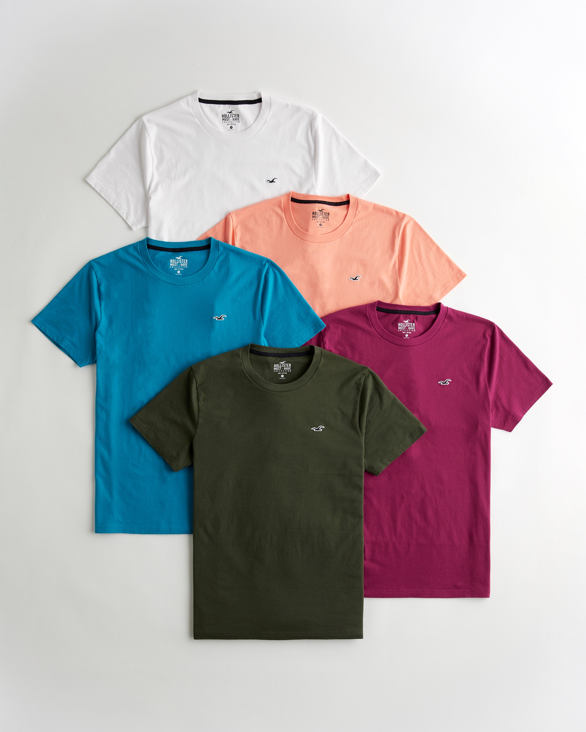 lot tee shirt hollister