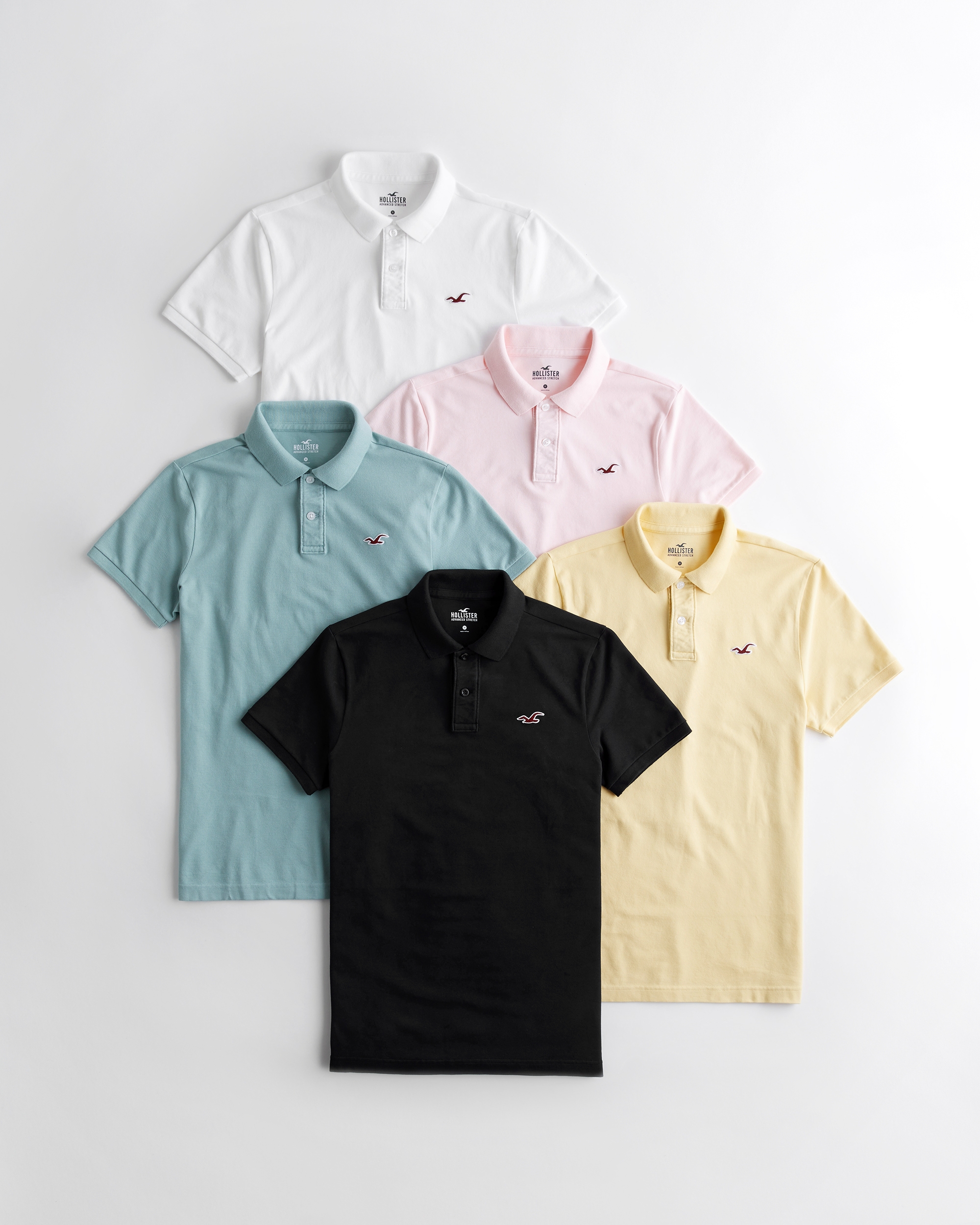 hollister polo