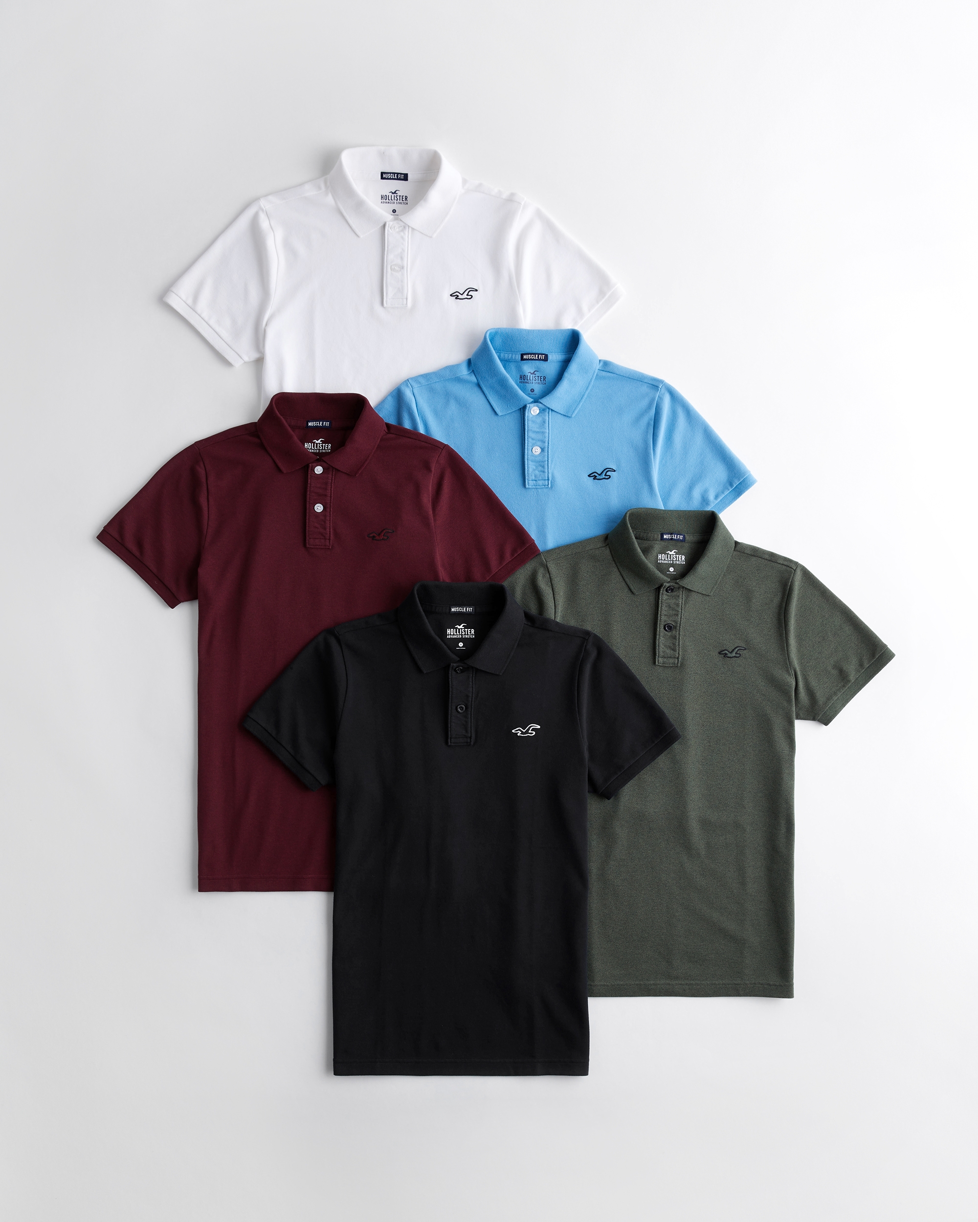 hollister collared shirts