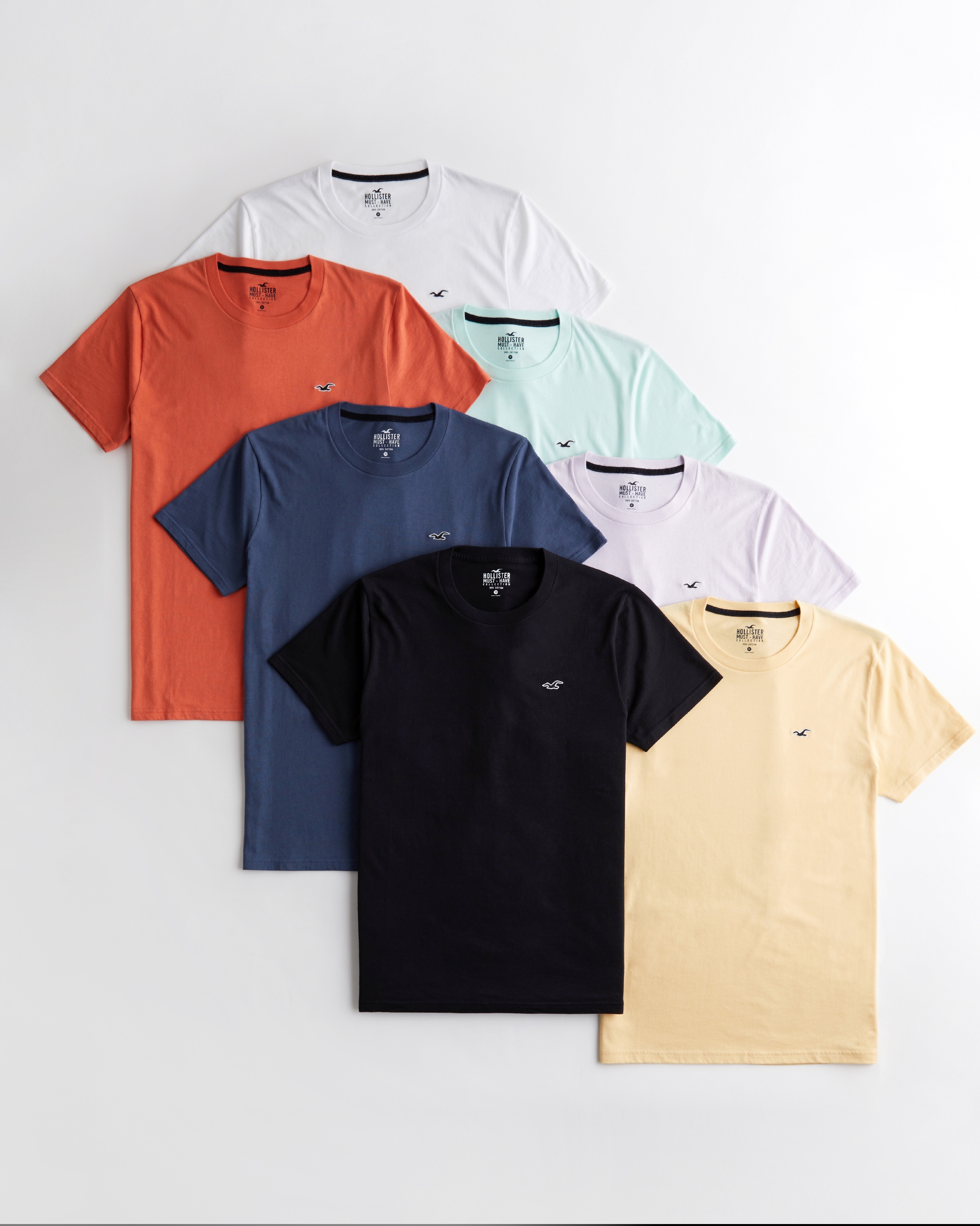 Jungs T-Shirts im Multipack | Hollister Co.