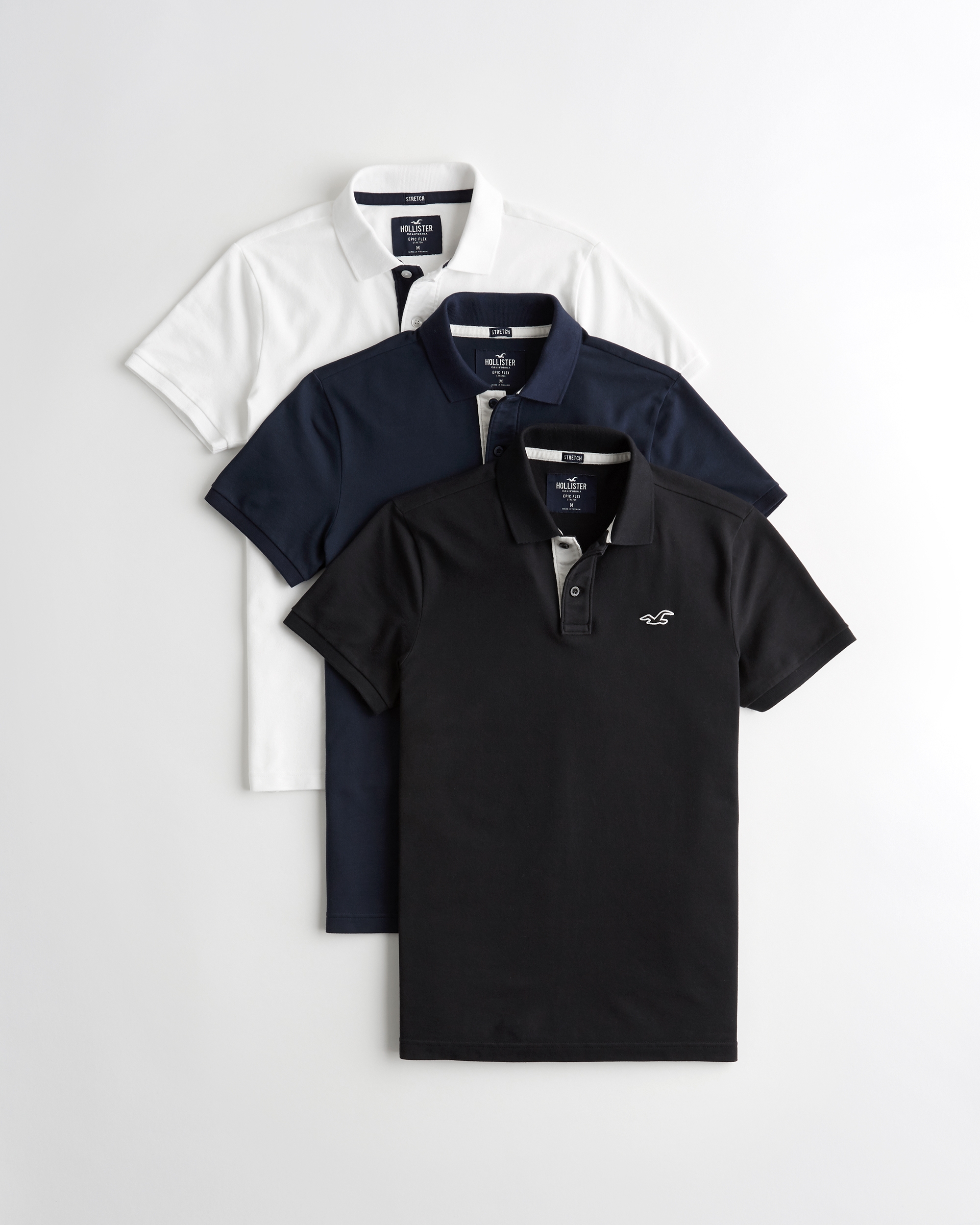 polo hollister