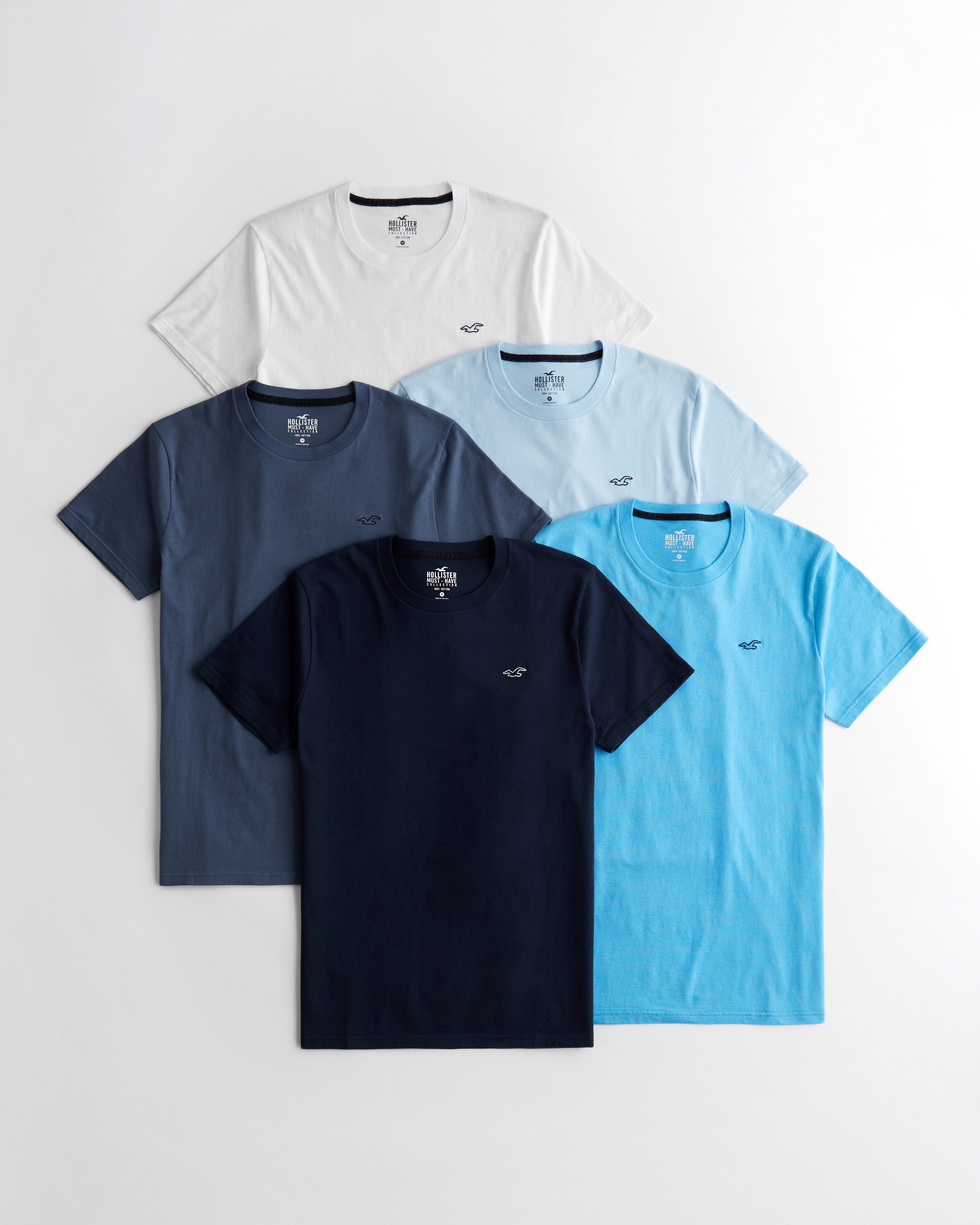 Guys Short-Sleeve T-Shirts | Hollister Co.