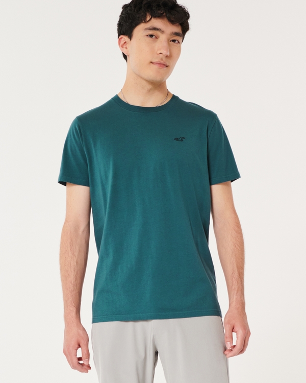 Hollister t 2024 shirt mens sale