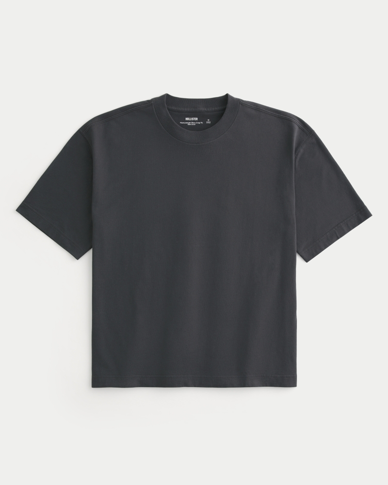 Hollister gray shirt hotsell