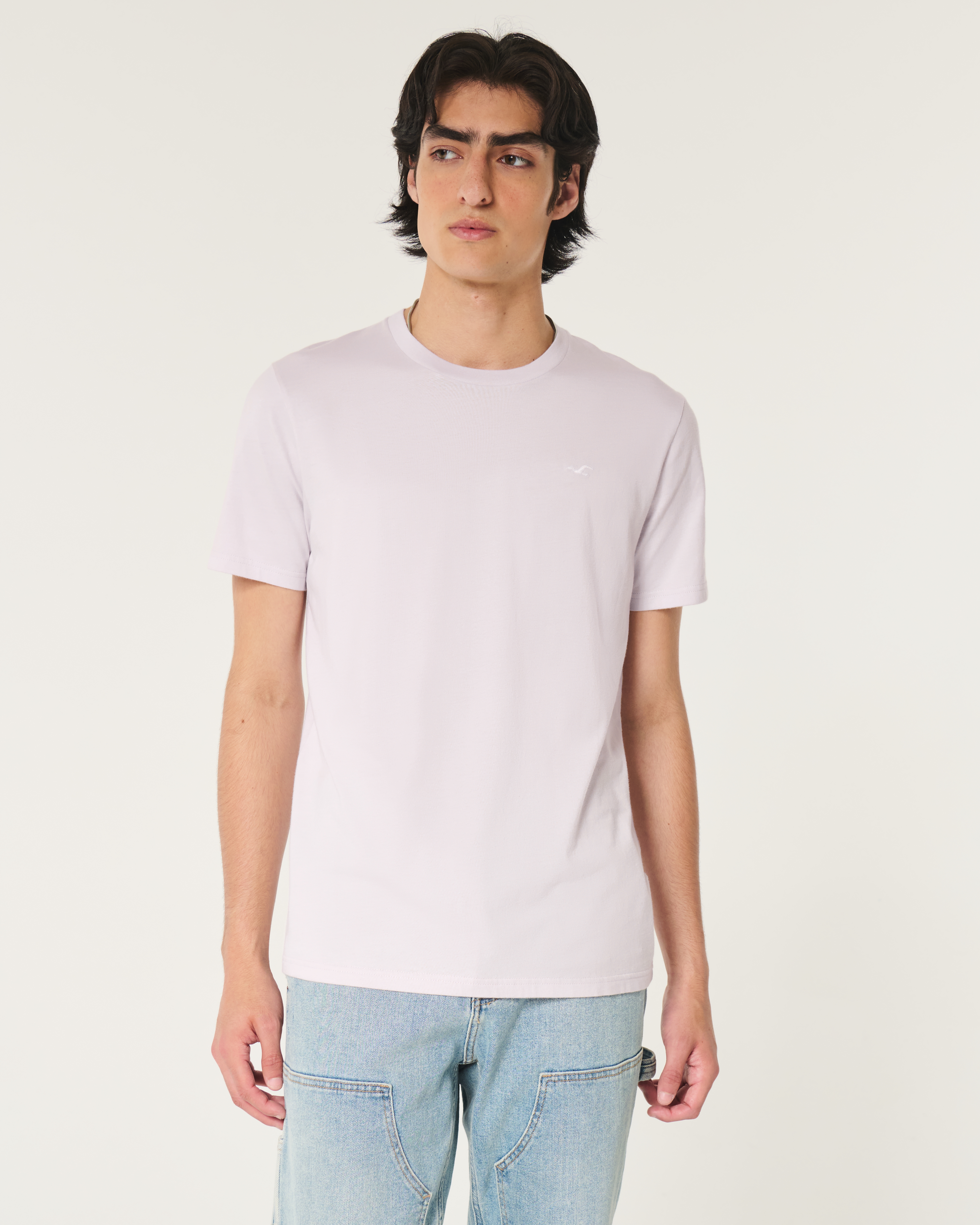 ★Hollister.co★アイコンクルーTシャツ Men's Icon Crew T-Shirt 10-Pack | Men's Tops | HollisterCo.com