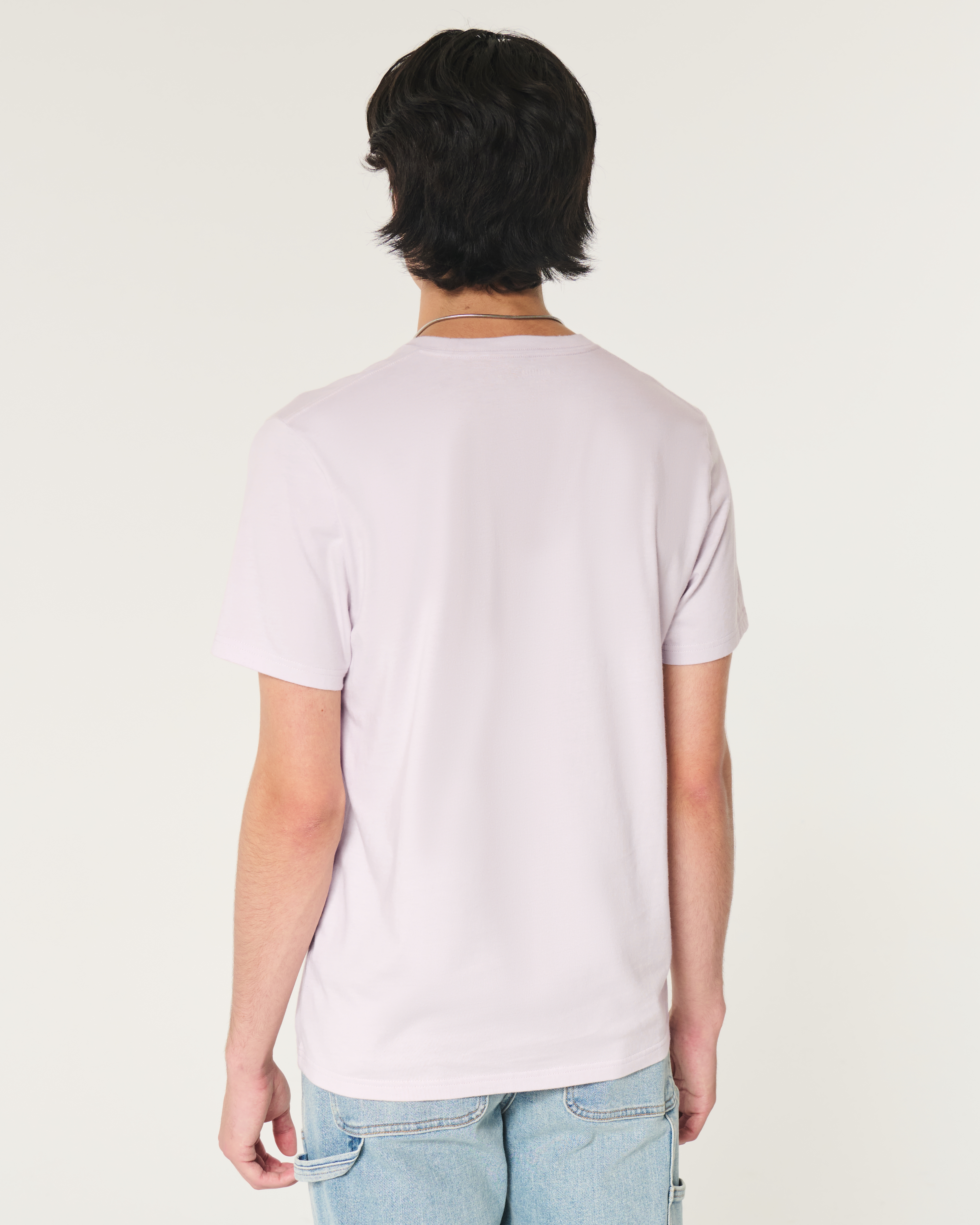 Men's Icon Crew T-Shirt | Men's Clearance | HollisterCo.com