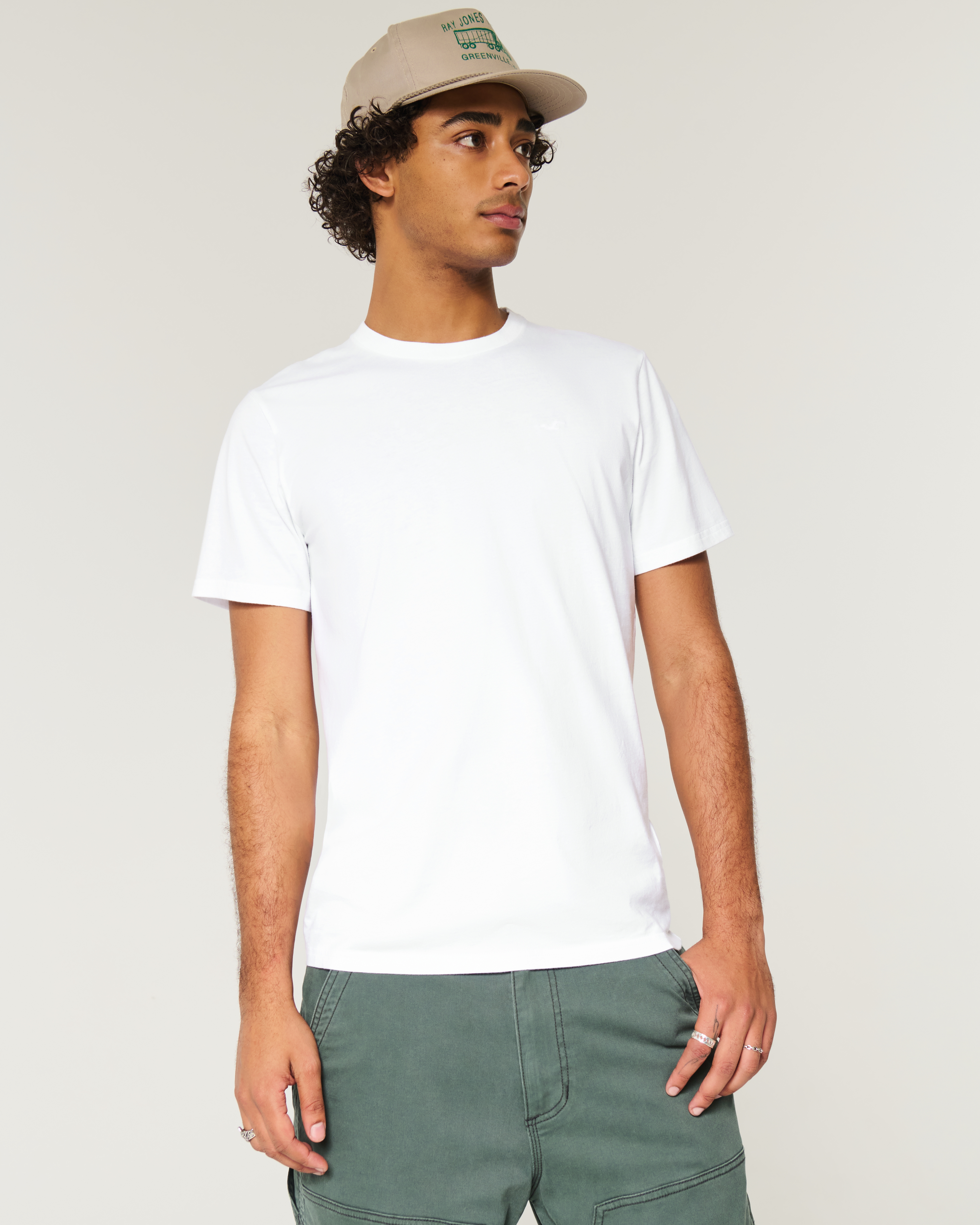 Men's Icon Crew T-Shirt | Men's Clearance | HollisterCo.com
