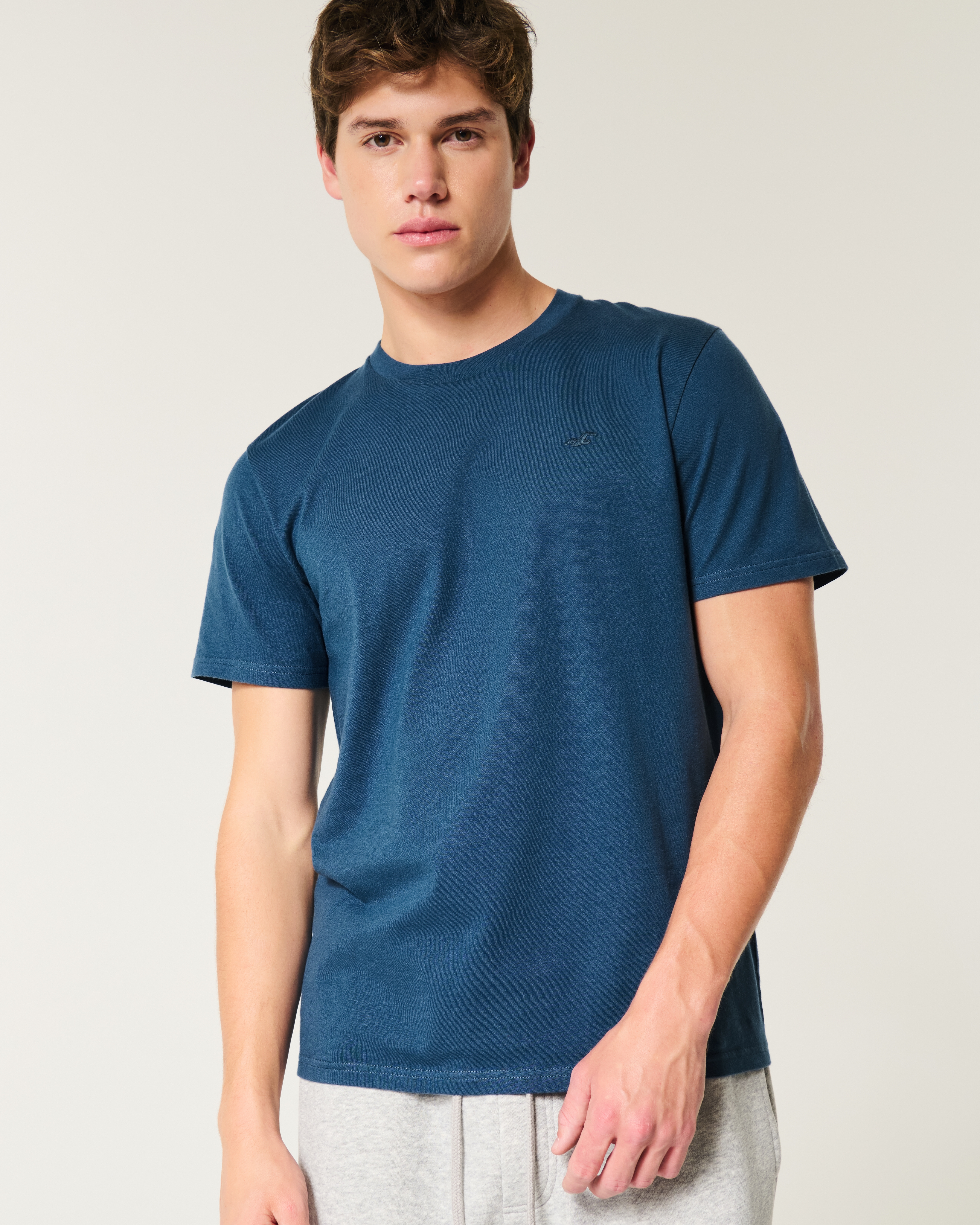★Hollister.co★アイコンクルーTシャツ Men's Icon Crew T-Shirt | Men's Tops | HollisterCo.com