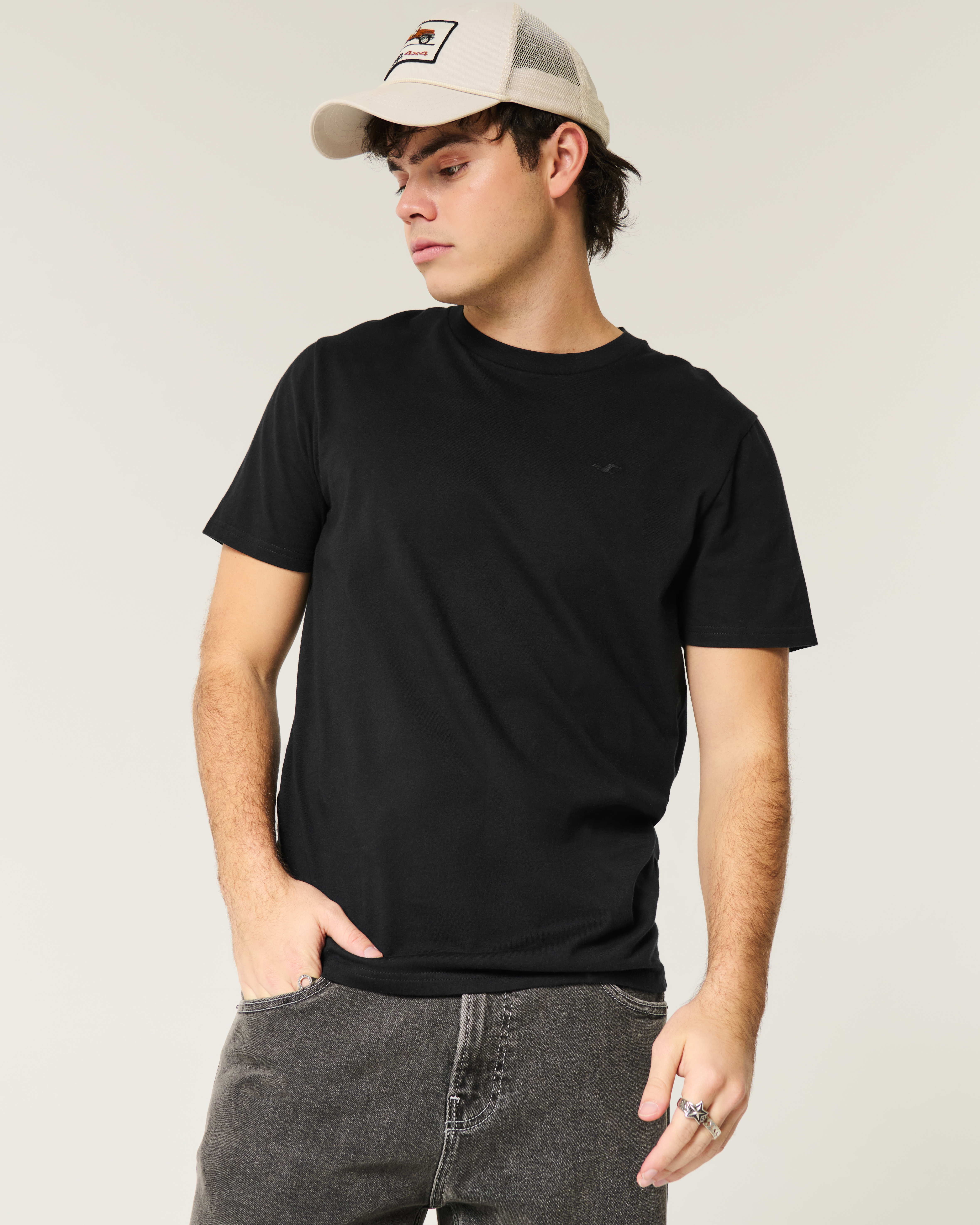 ★Hollister.co★アイコンクルーTシャツ Men's Icon Crew T-Shirt | Men's Tops | HollisterCo.com