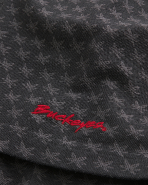 Boxy The Ohio State University Buckeyes Graphic Polo