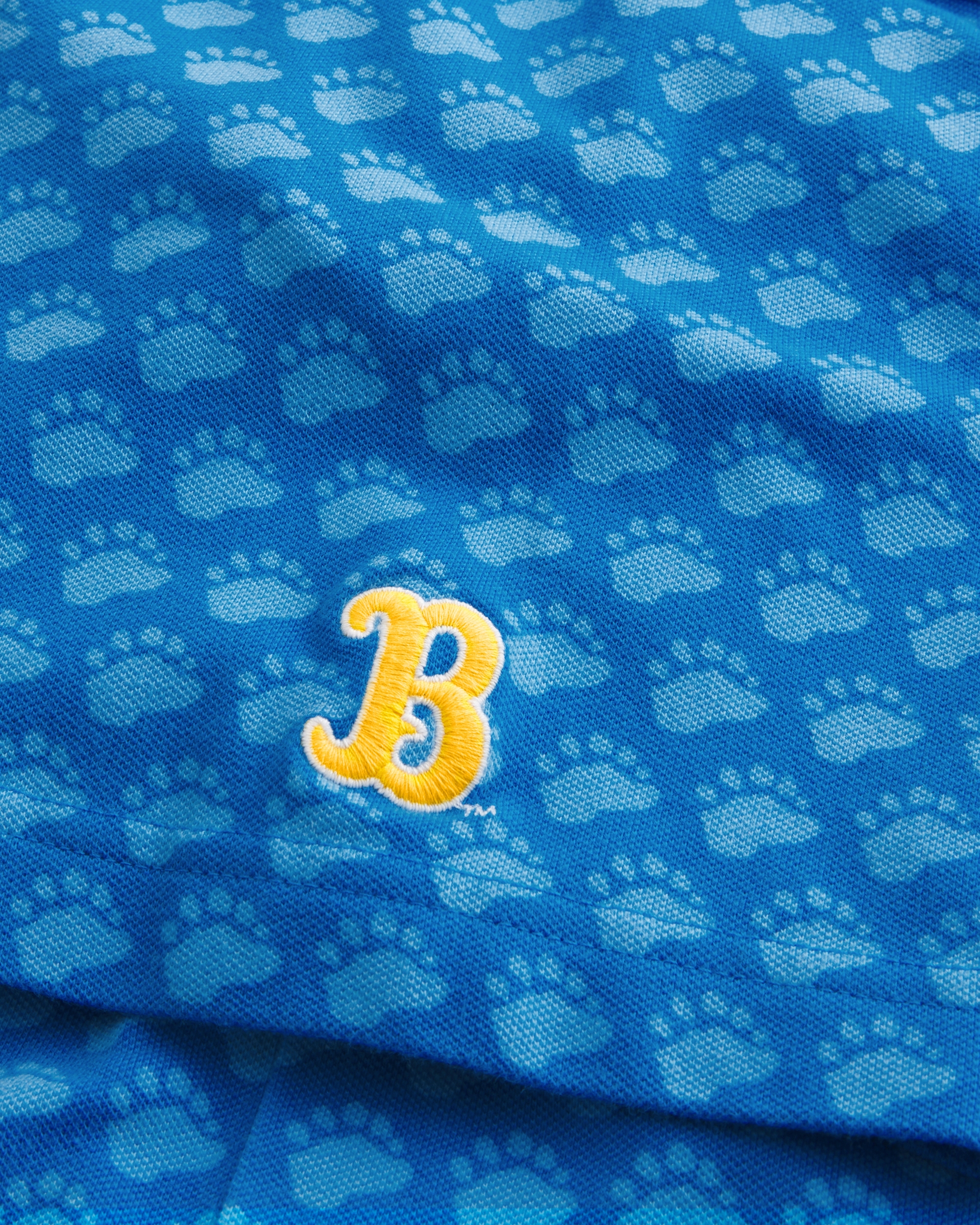 Boxy UCLA Graphic Polo
