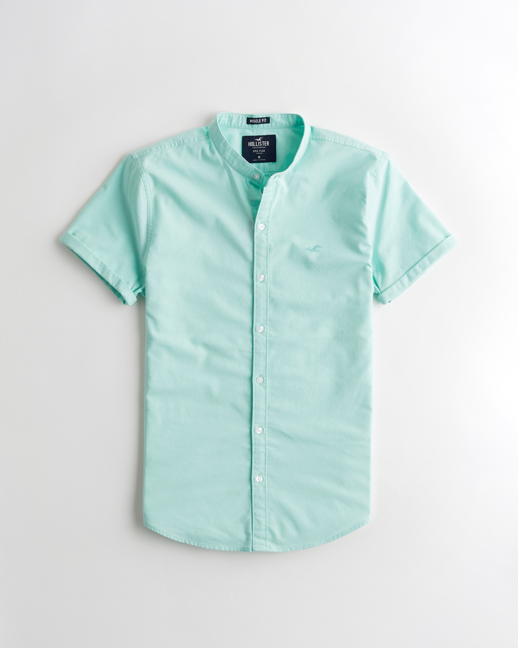hollister mens shirts clearance
