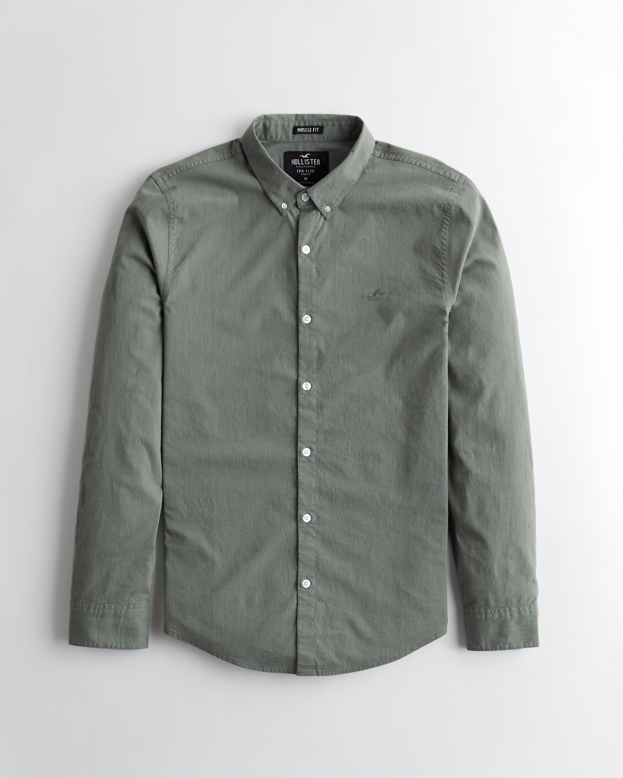 hollister button down shirt