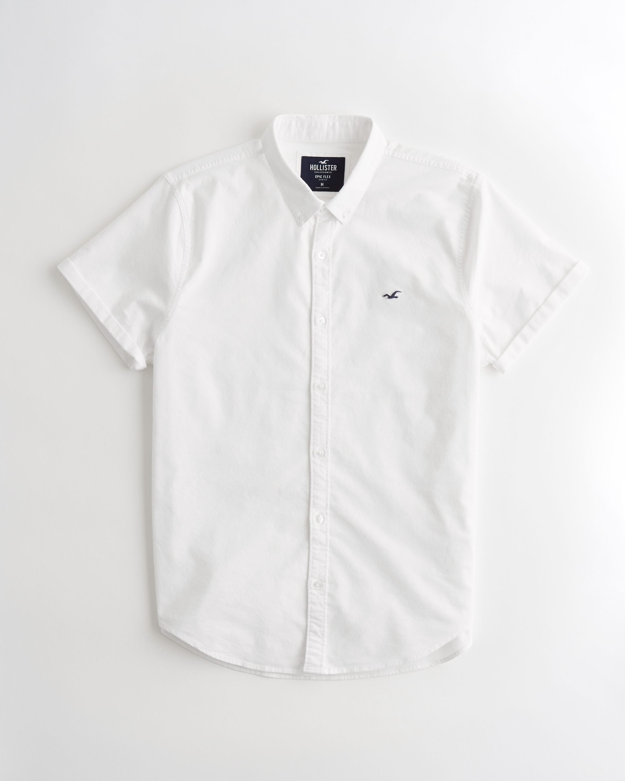 polo shirt hollister