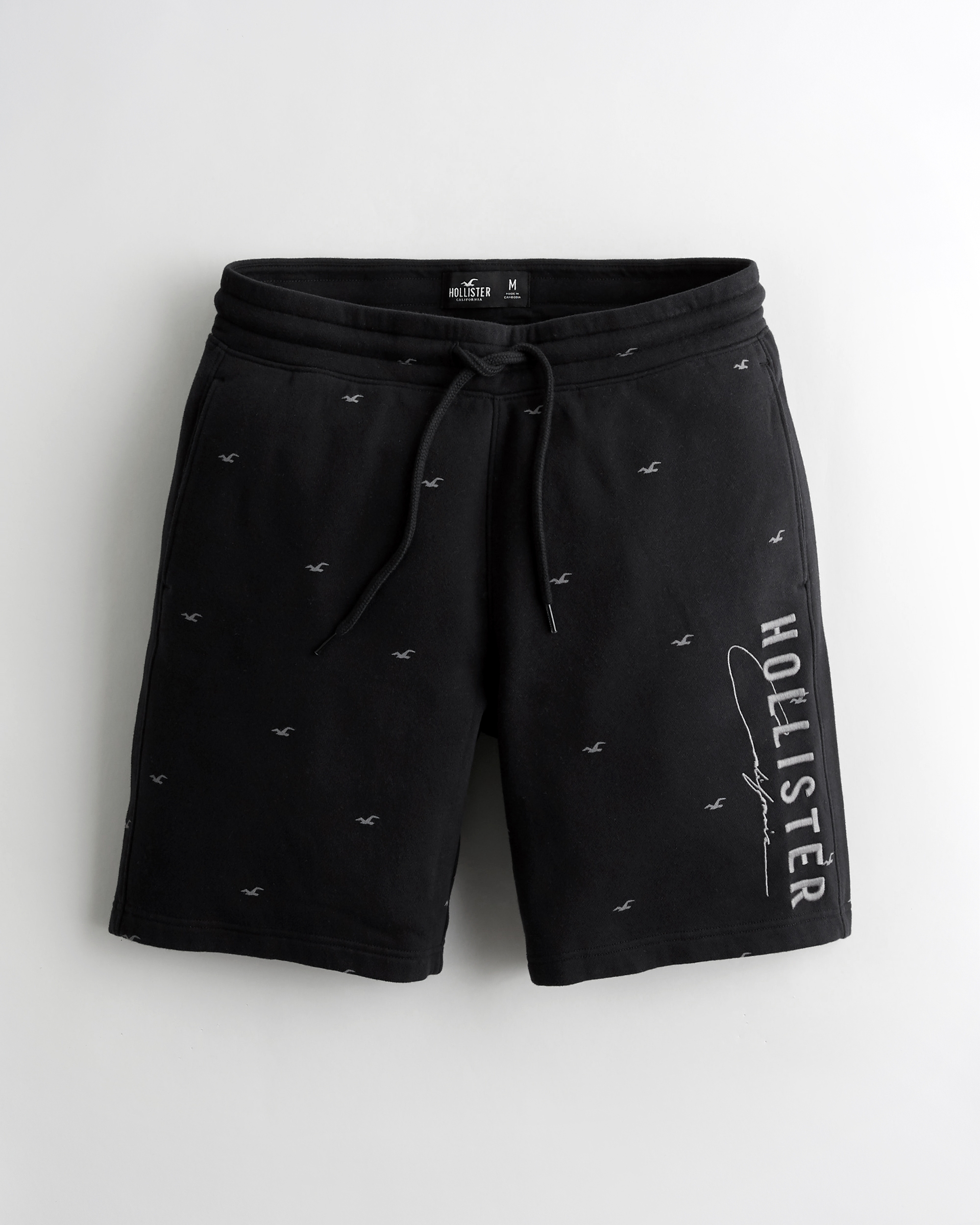 hollister mens shorts clearance