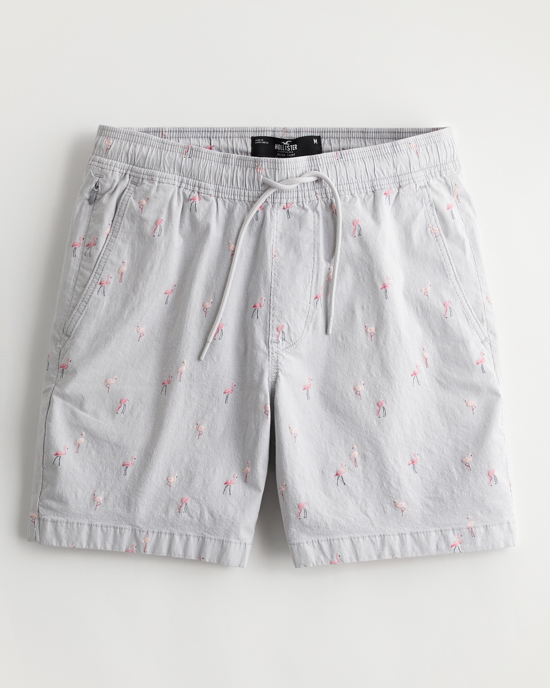 Hollister deals jogger shorts