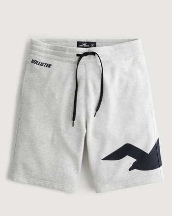 Hollister fleece shorts mens online
