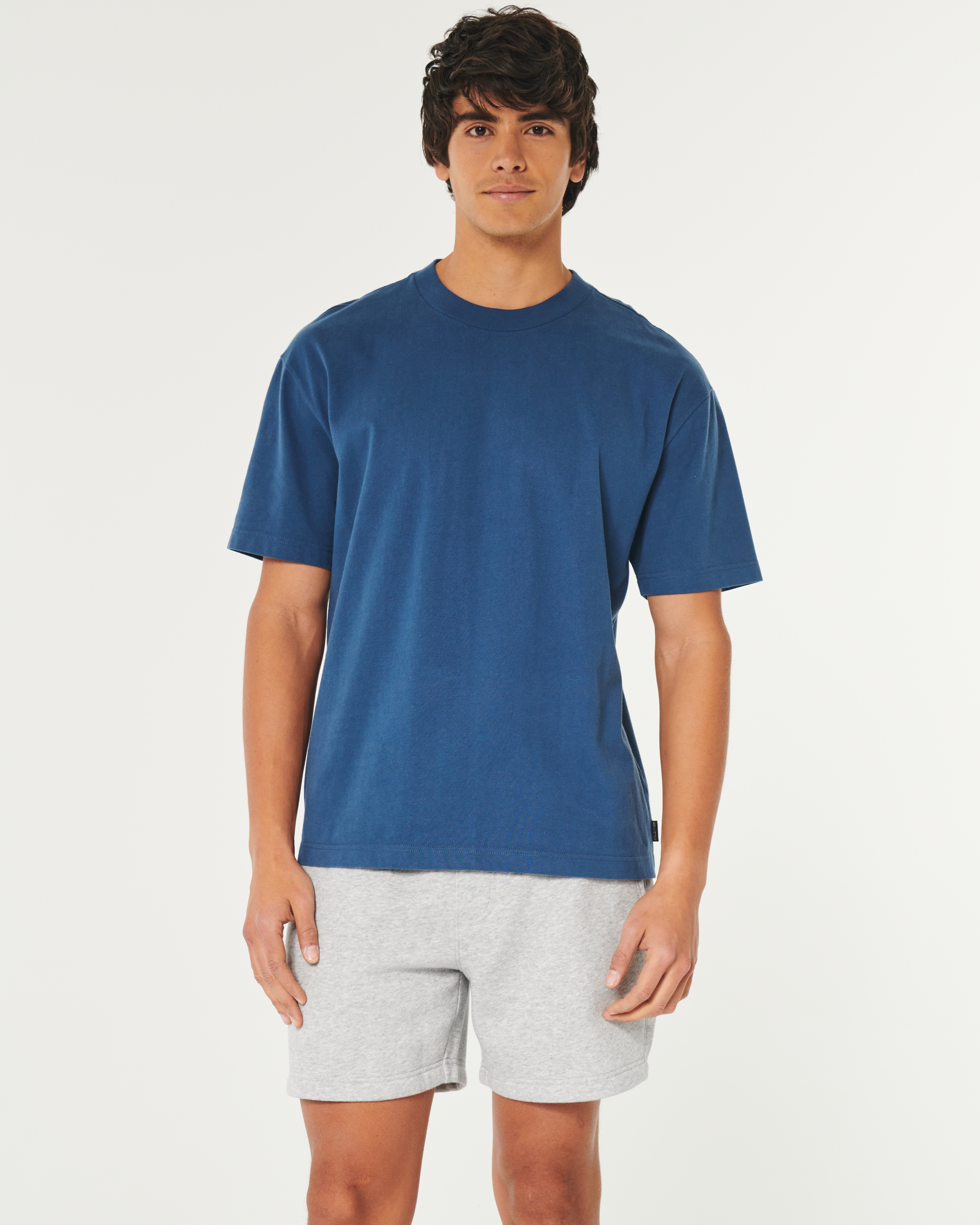 Hollister classic fleece shorts best sale