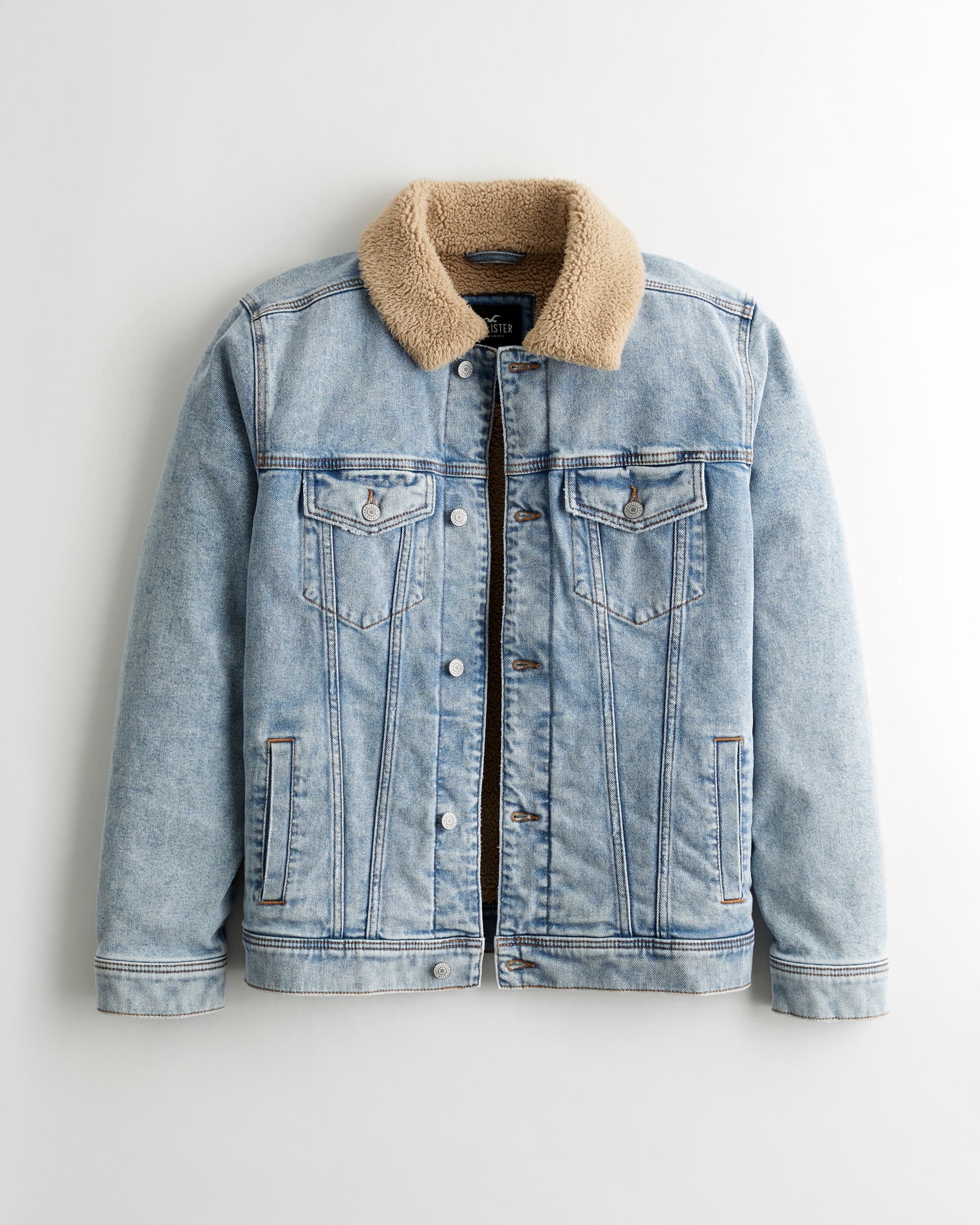 jacket hollister