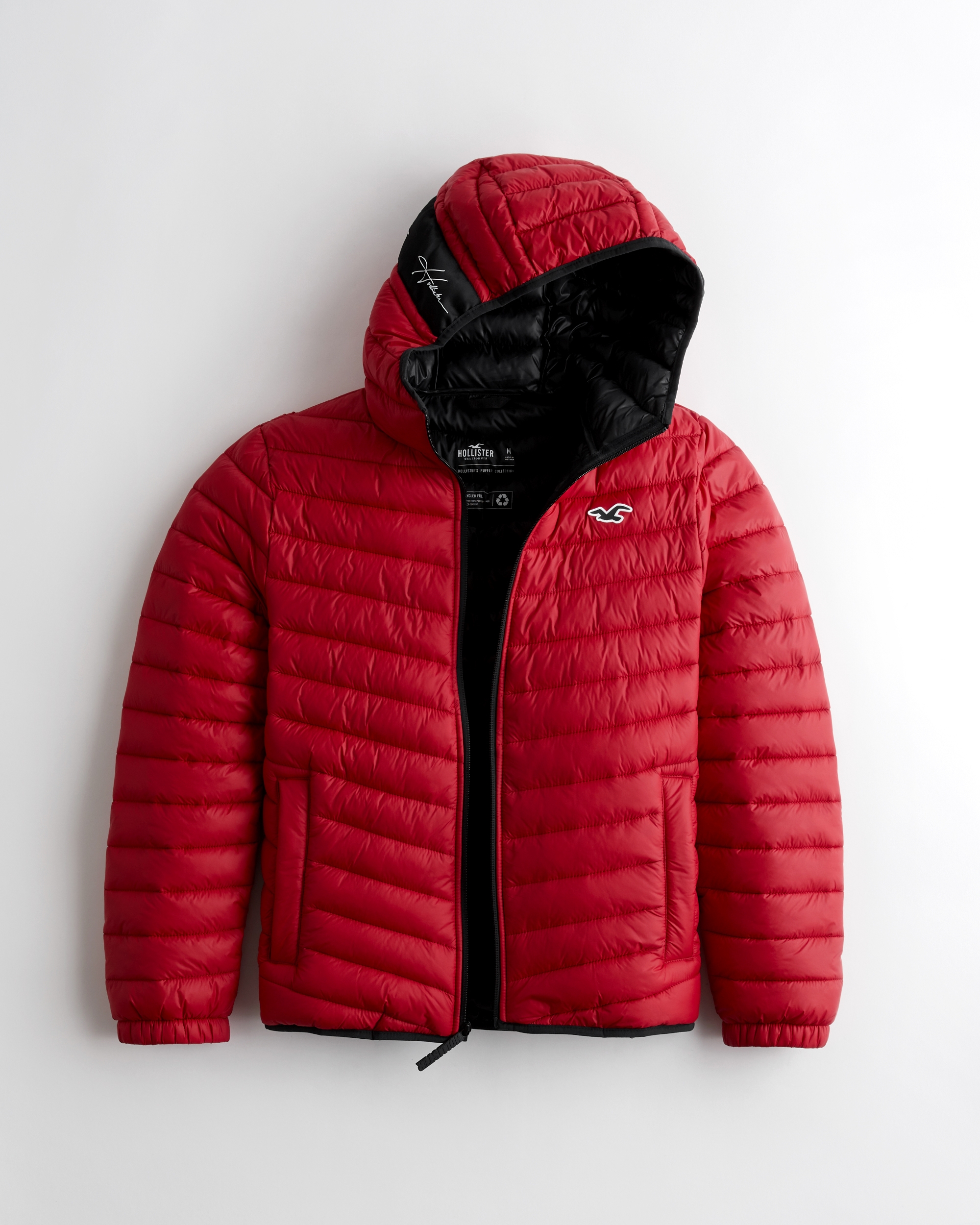 hollister boys jackets
