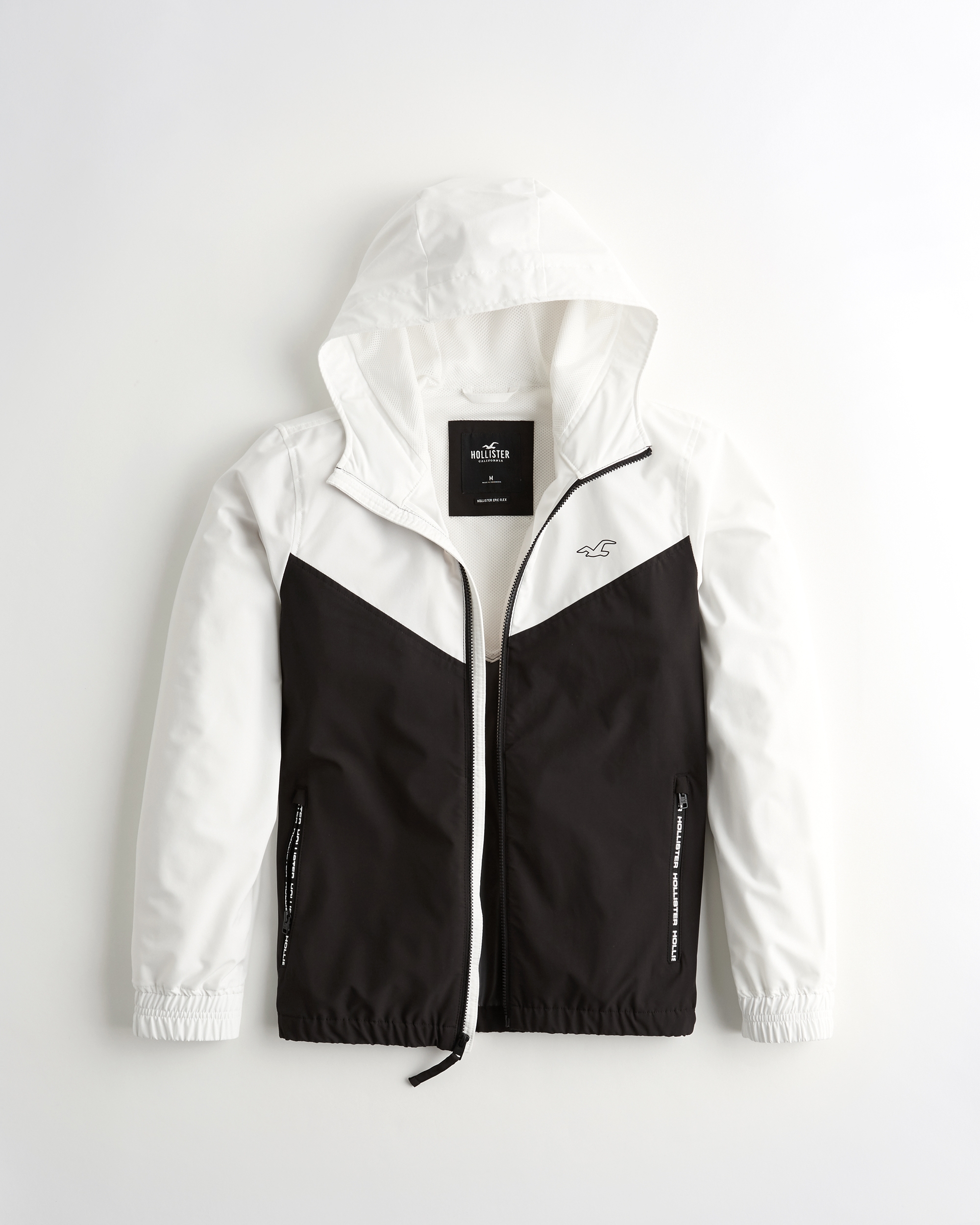 hollister windbreaker womens