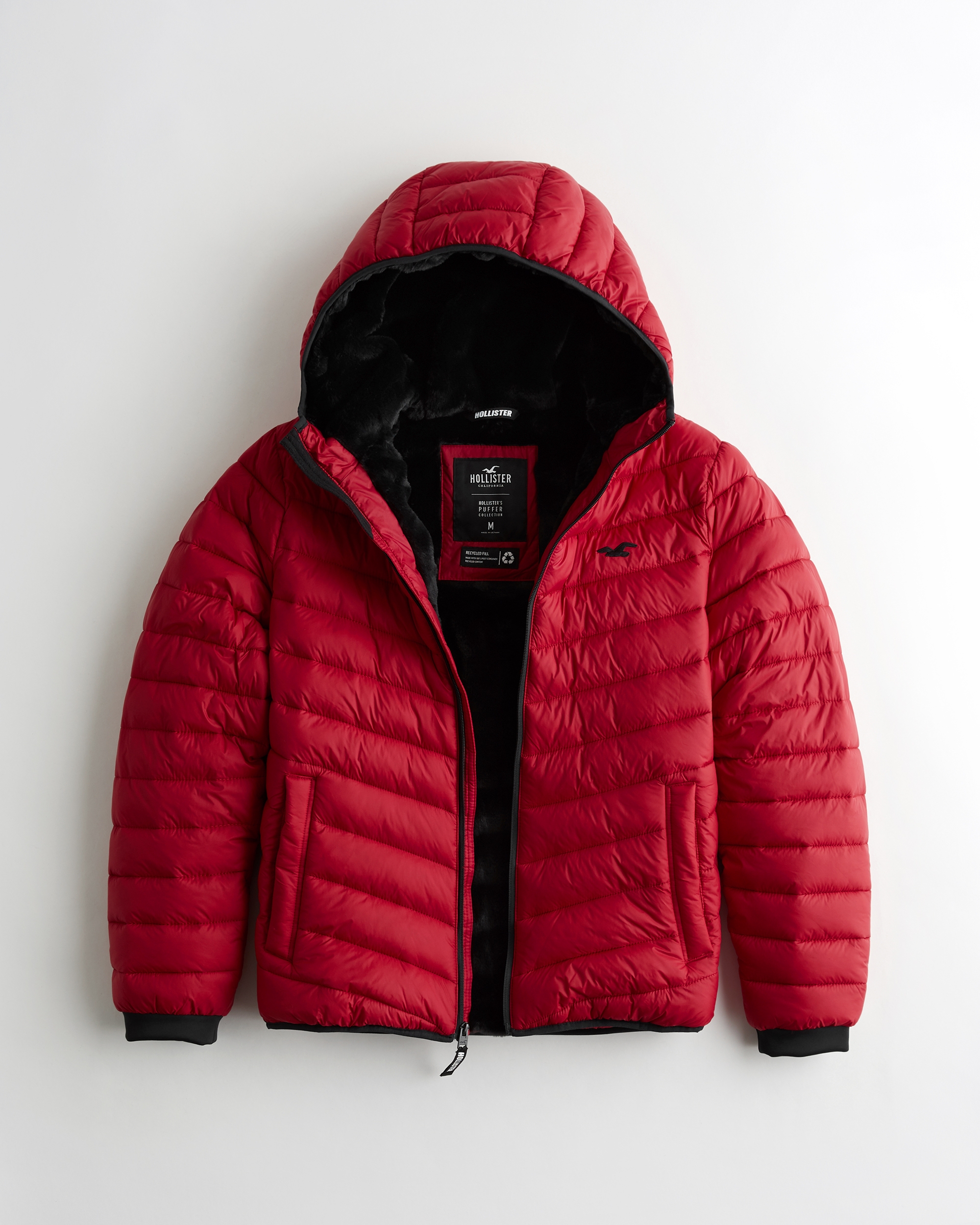 hollister winter jackets clearance