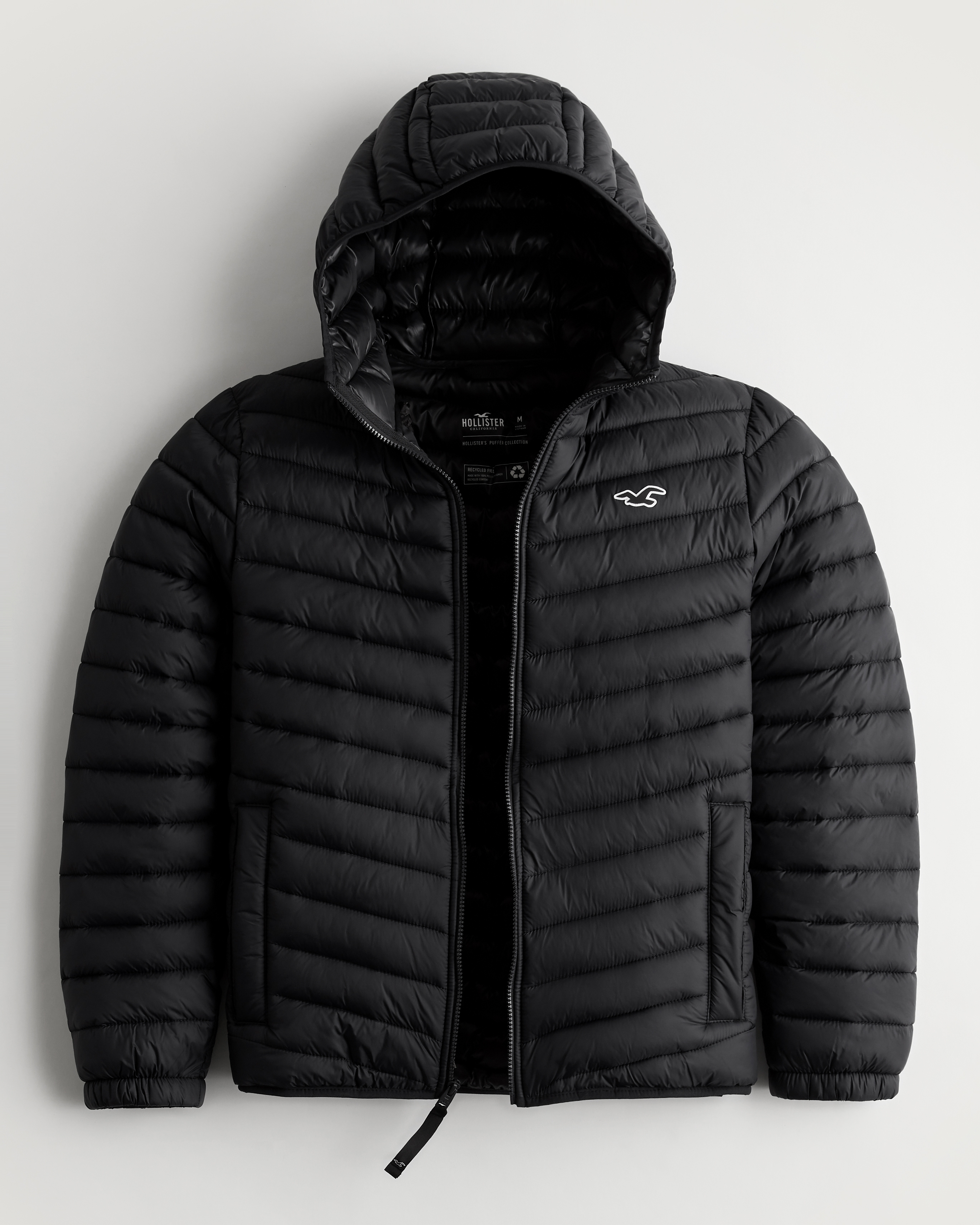hollister coats men's