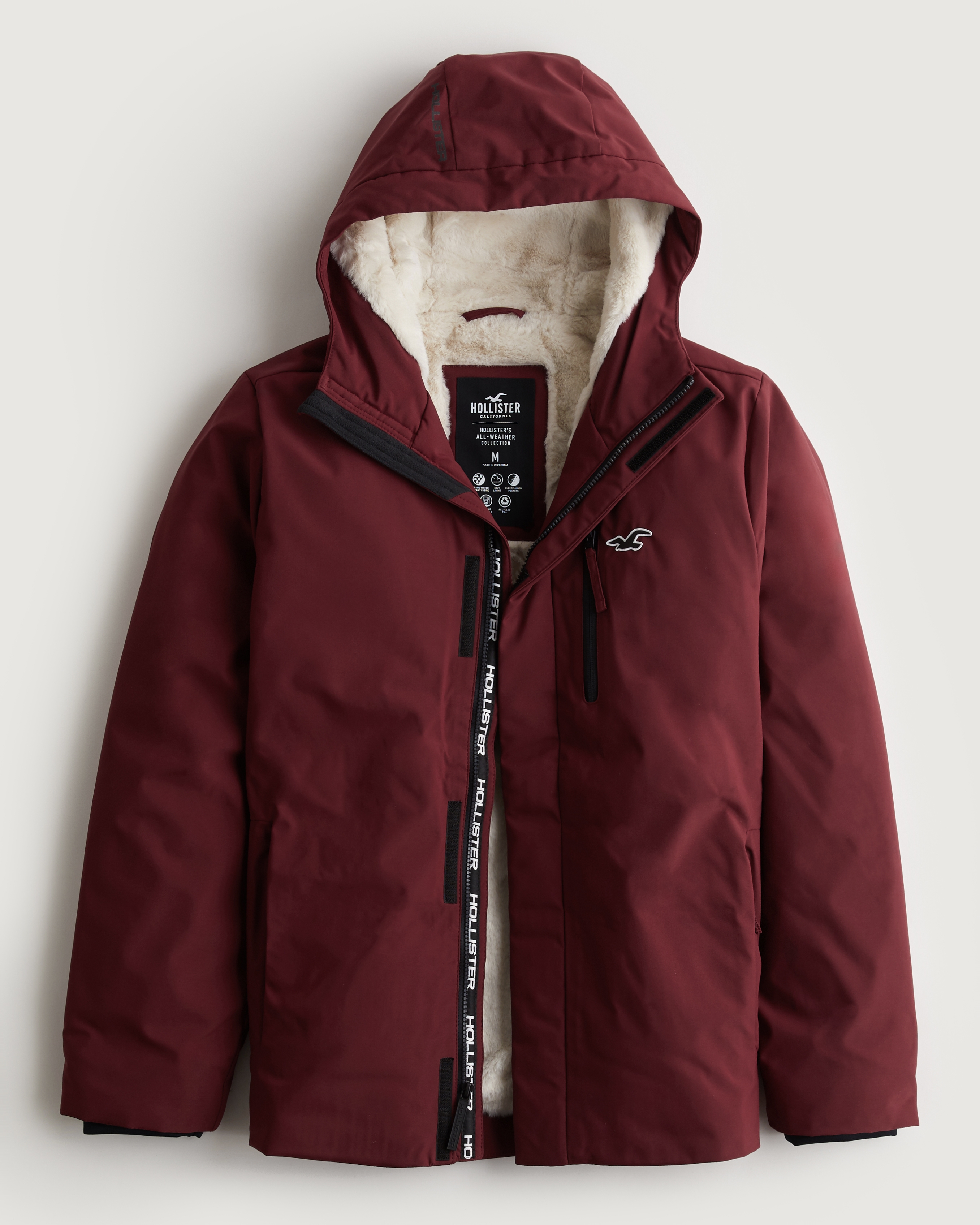 hollister jackets mens