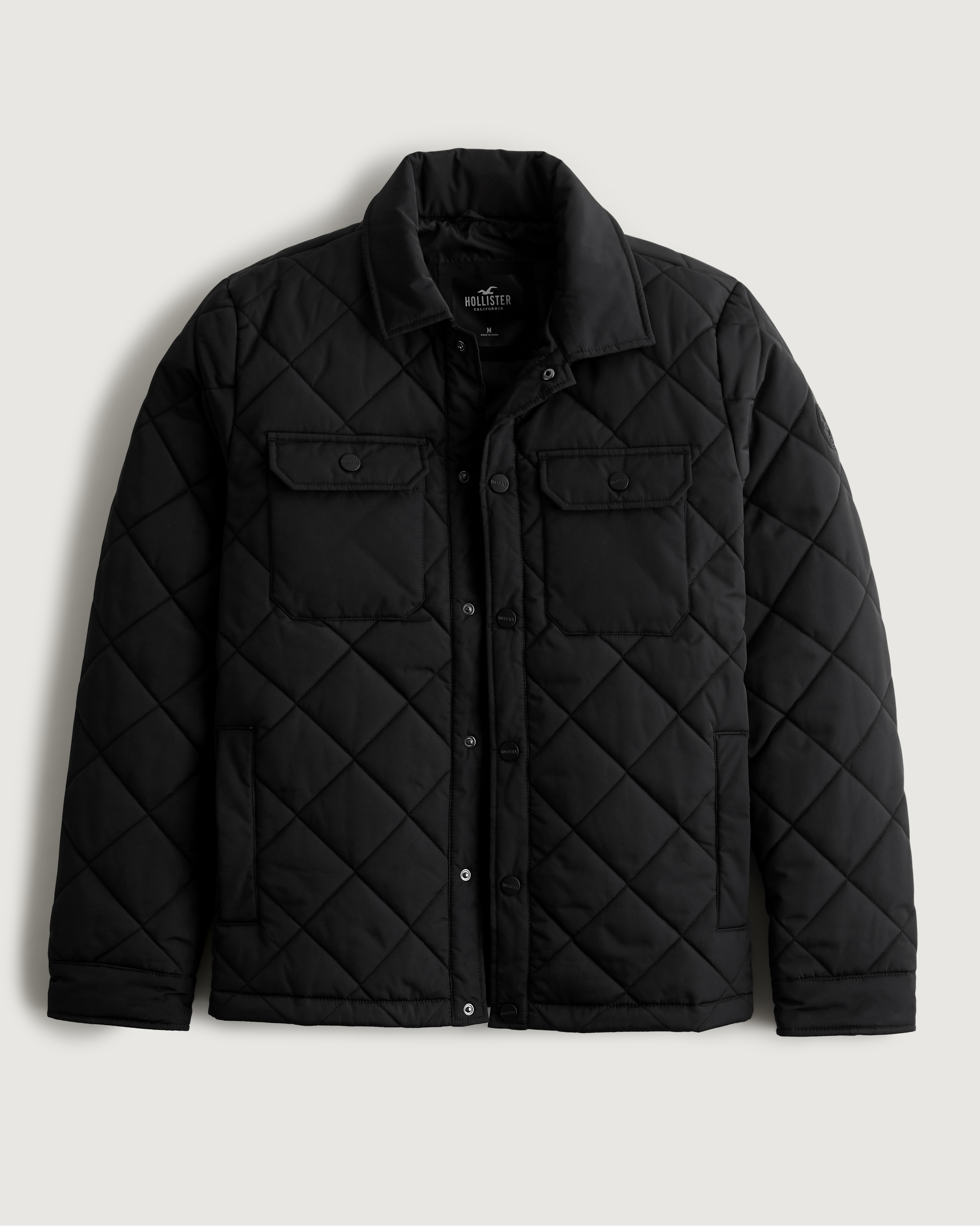 hollister mens coat