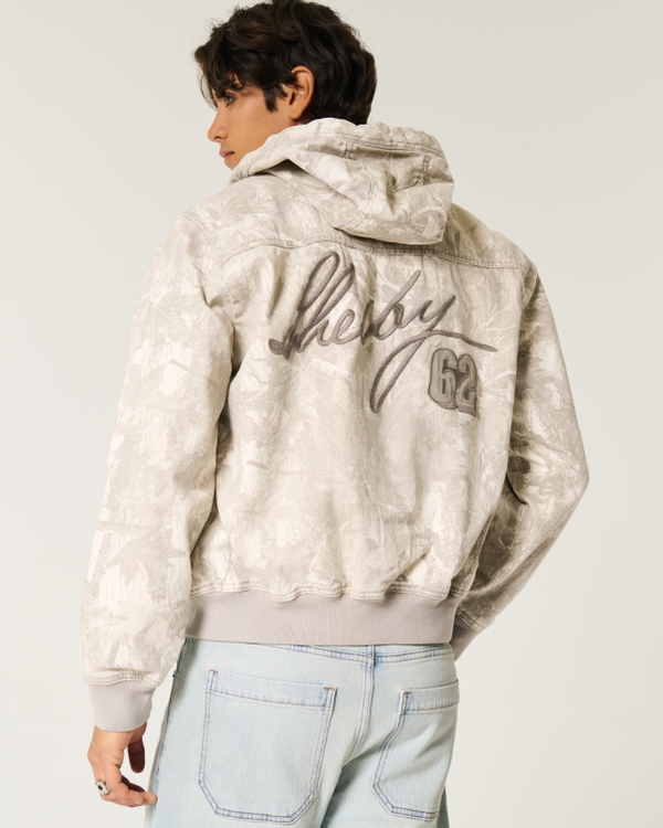 Shelby Graphic Zip-Up Hoodie Jacket, Light Grey Stripe view 2