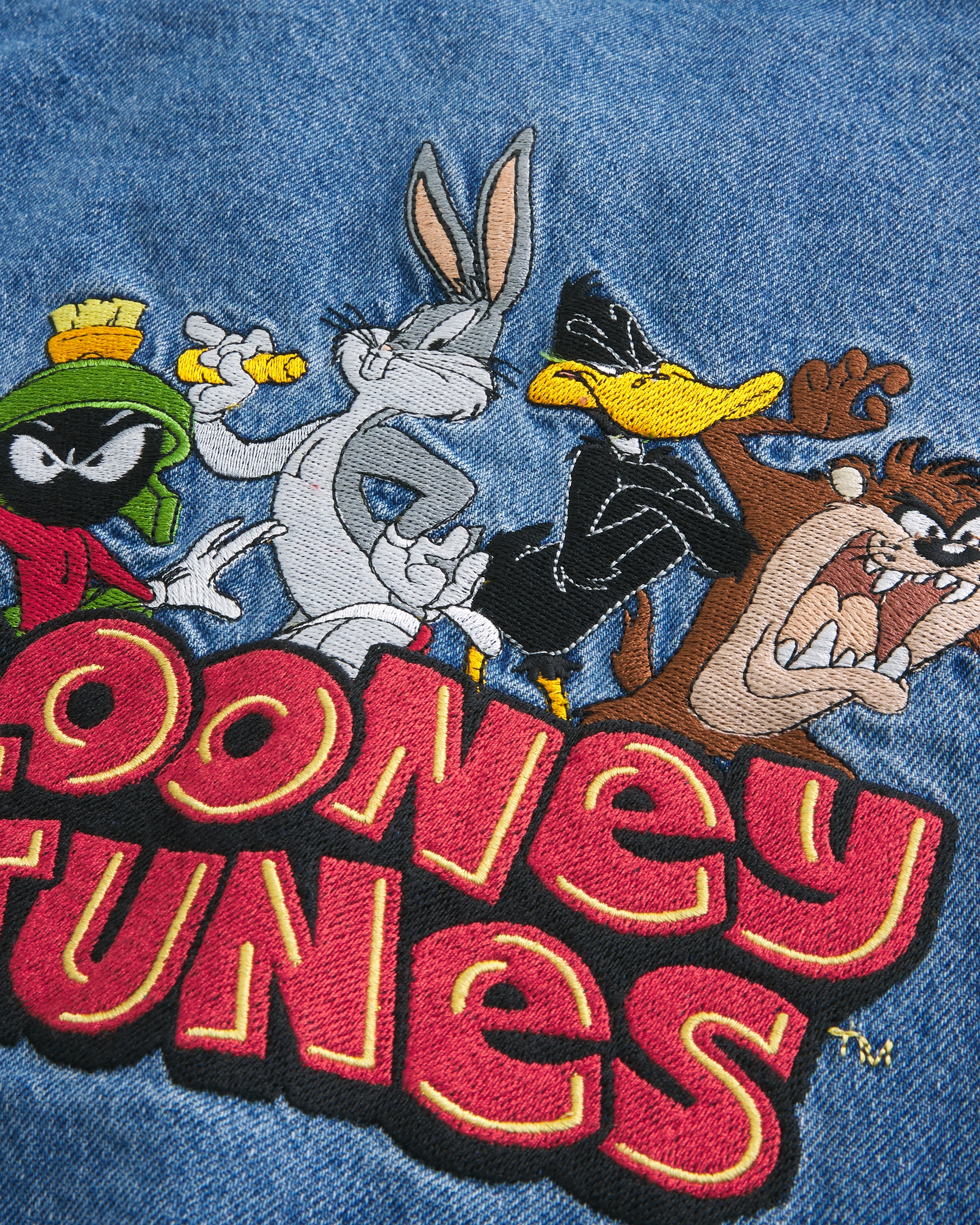 Hollister Looney Tunes Graphic Denim Jacket | Arden Fair